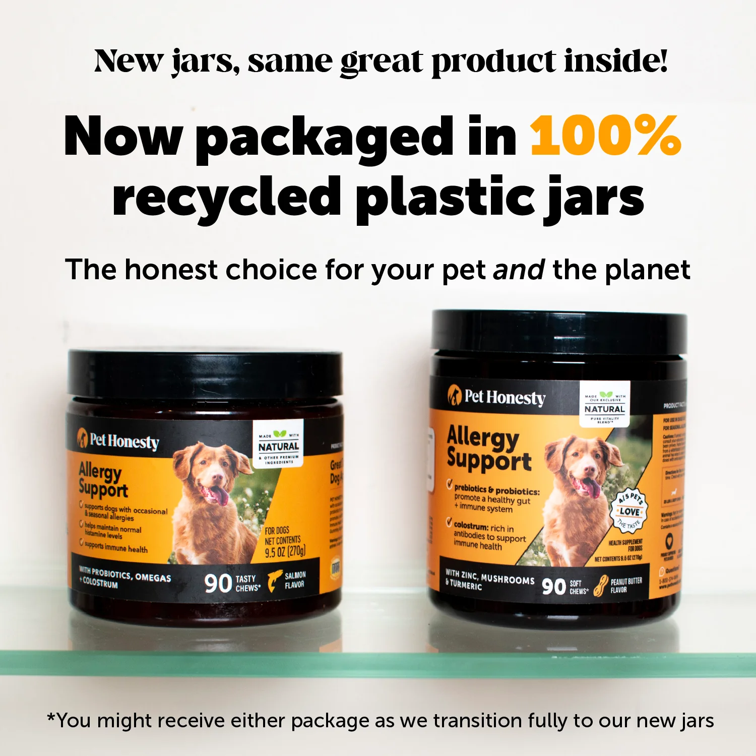 Allergy Support Chews for Dogs (Salmon Flavor) - Image 11