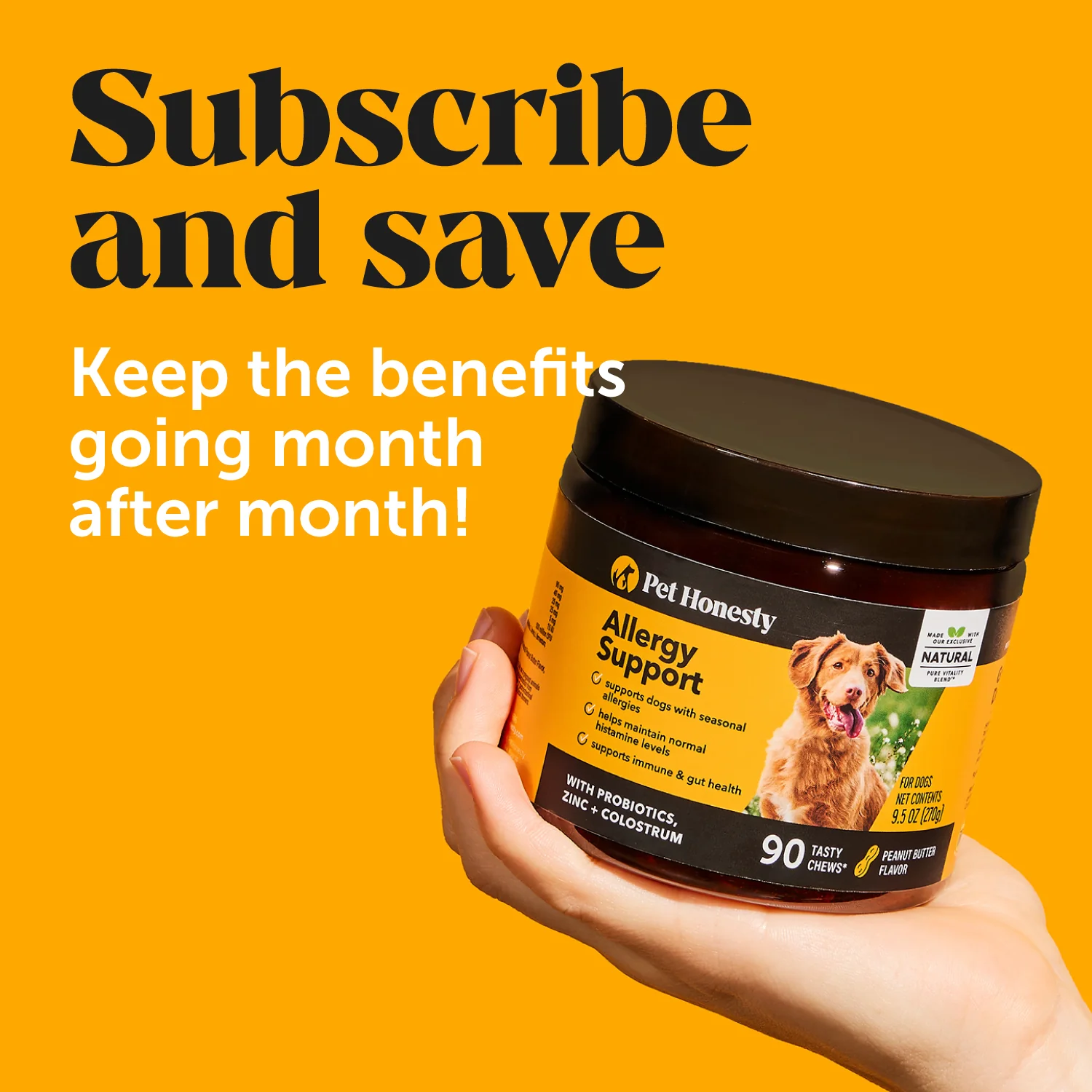 Allergy Support 3-Pack (Peanut Butter Flavor) - Image 9