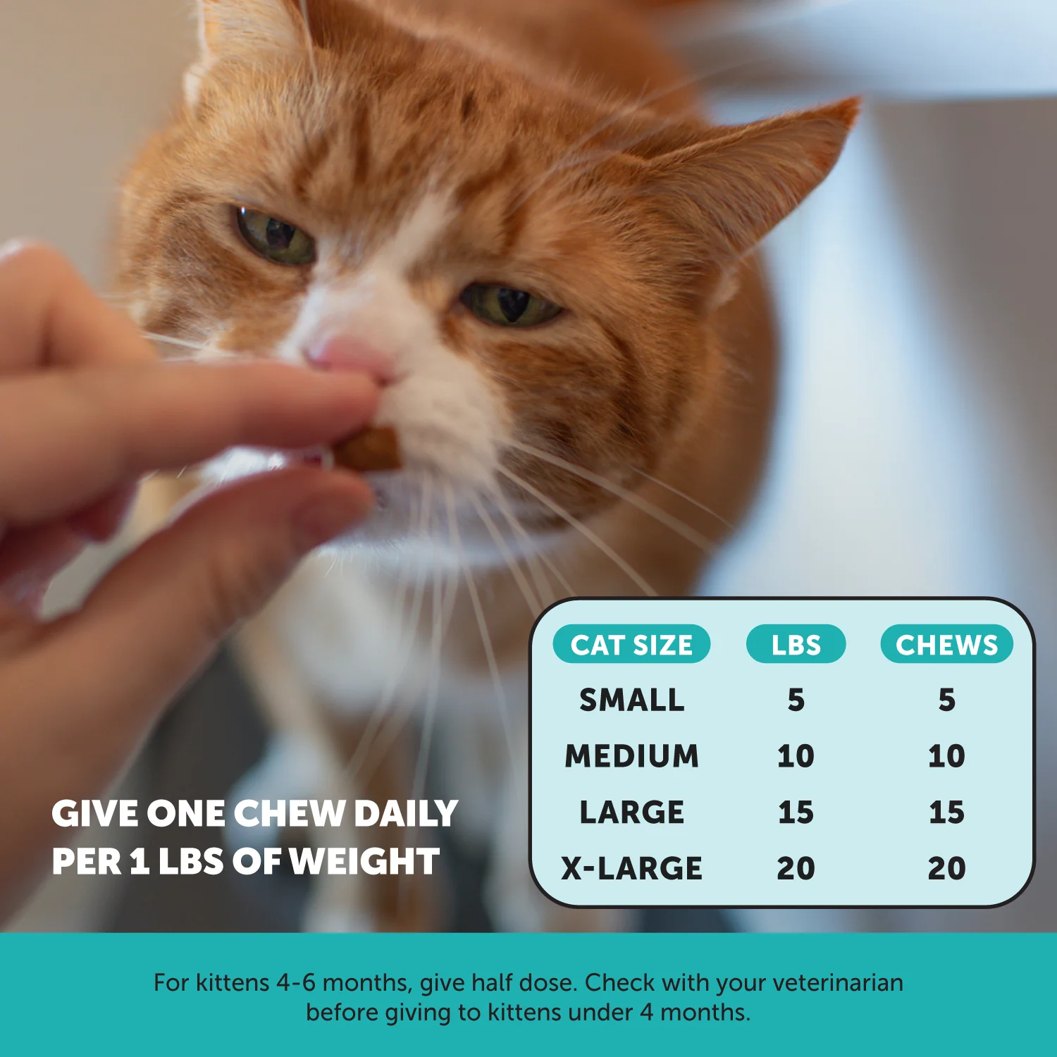 Dual Texture Calming Supplement for Cats (Chicken Flavor) - Image 5