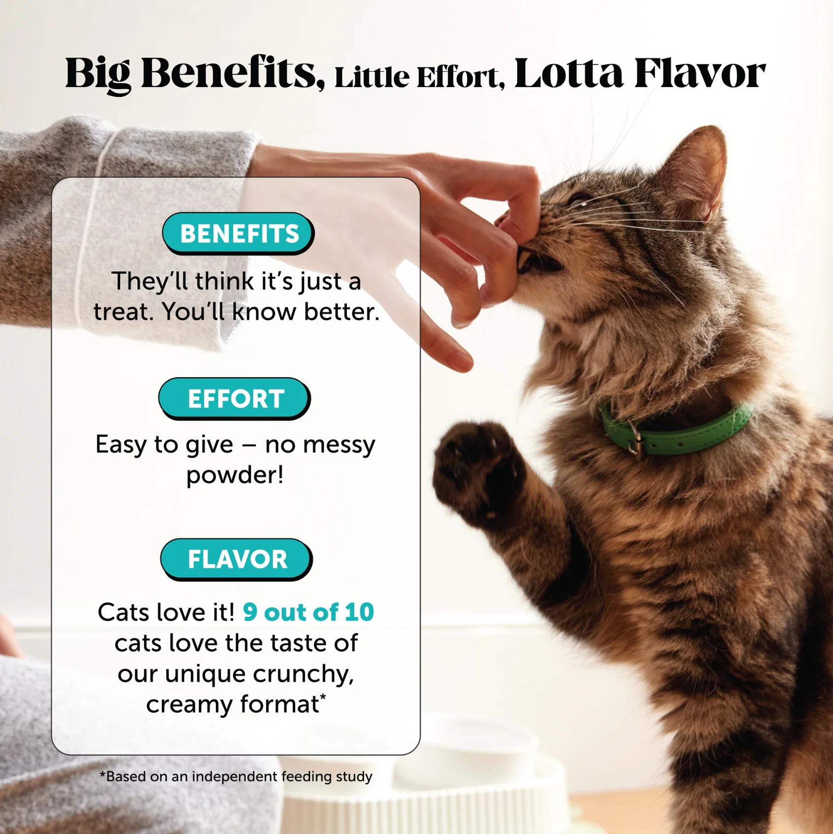 Dual Texture Calming Supplement for Cats (Chicken Flavor) - Image 7