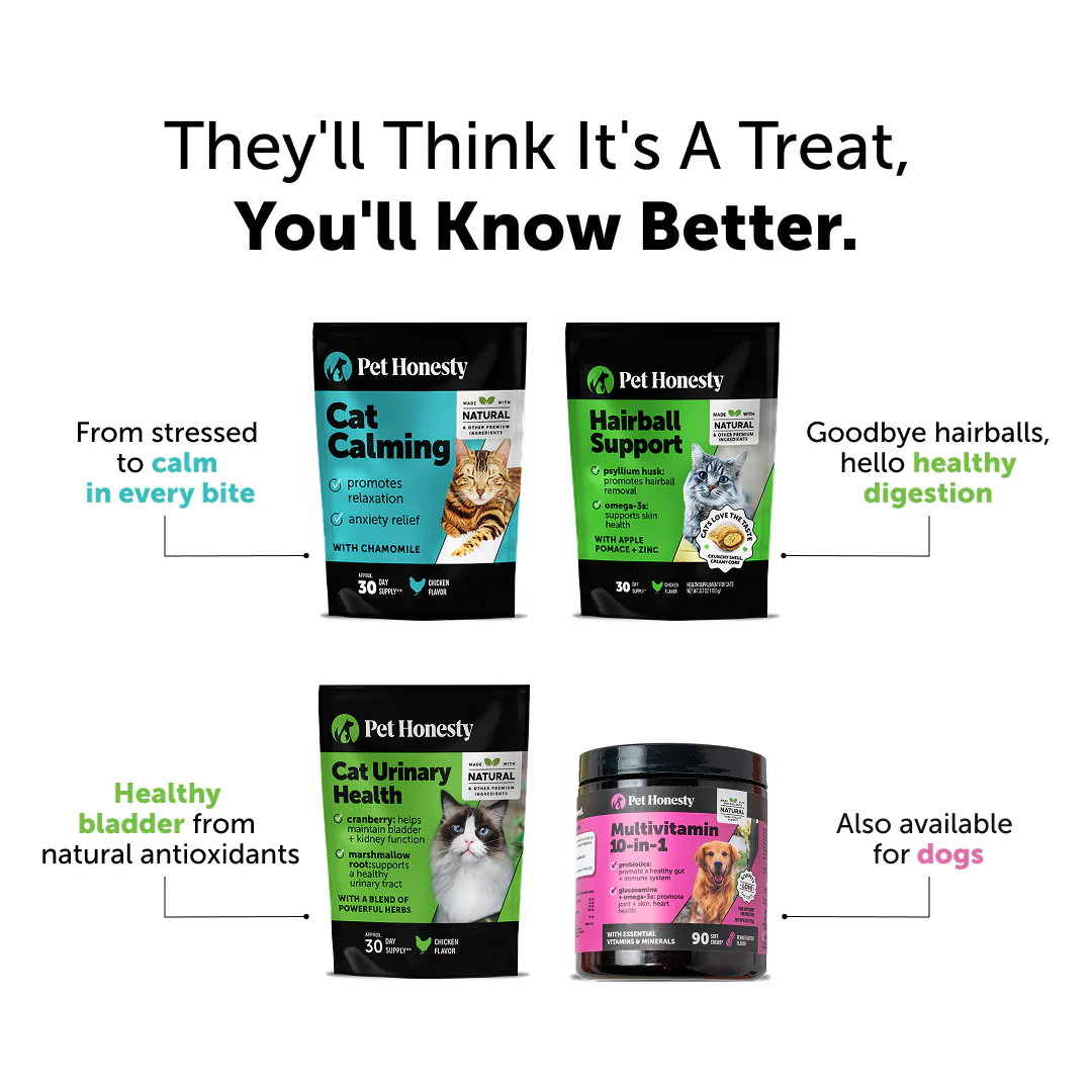 Dual Texture Multivitamin for Cats 2-Pack (Chicken Flavor) - Image 8