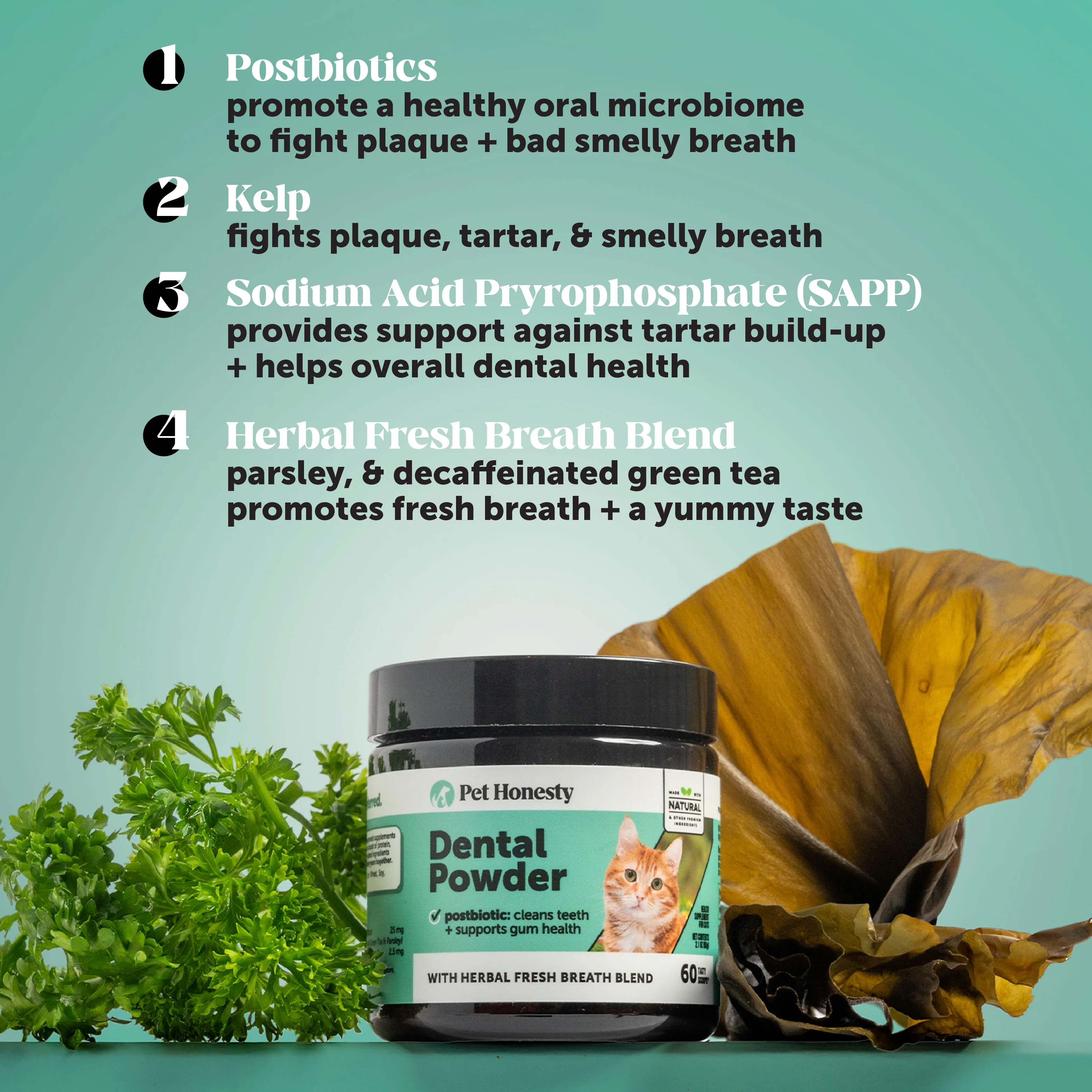 Cat Daily Essentials Bundle - Image 3