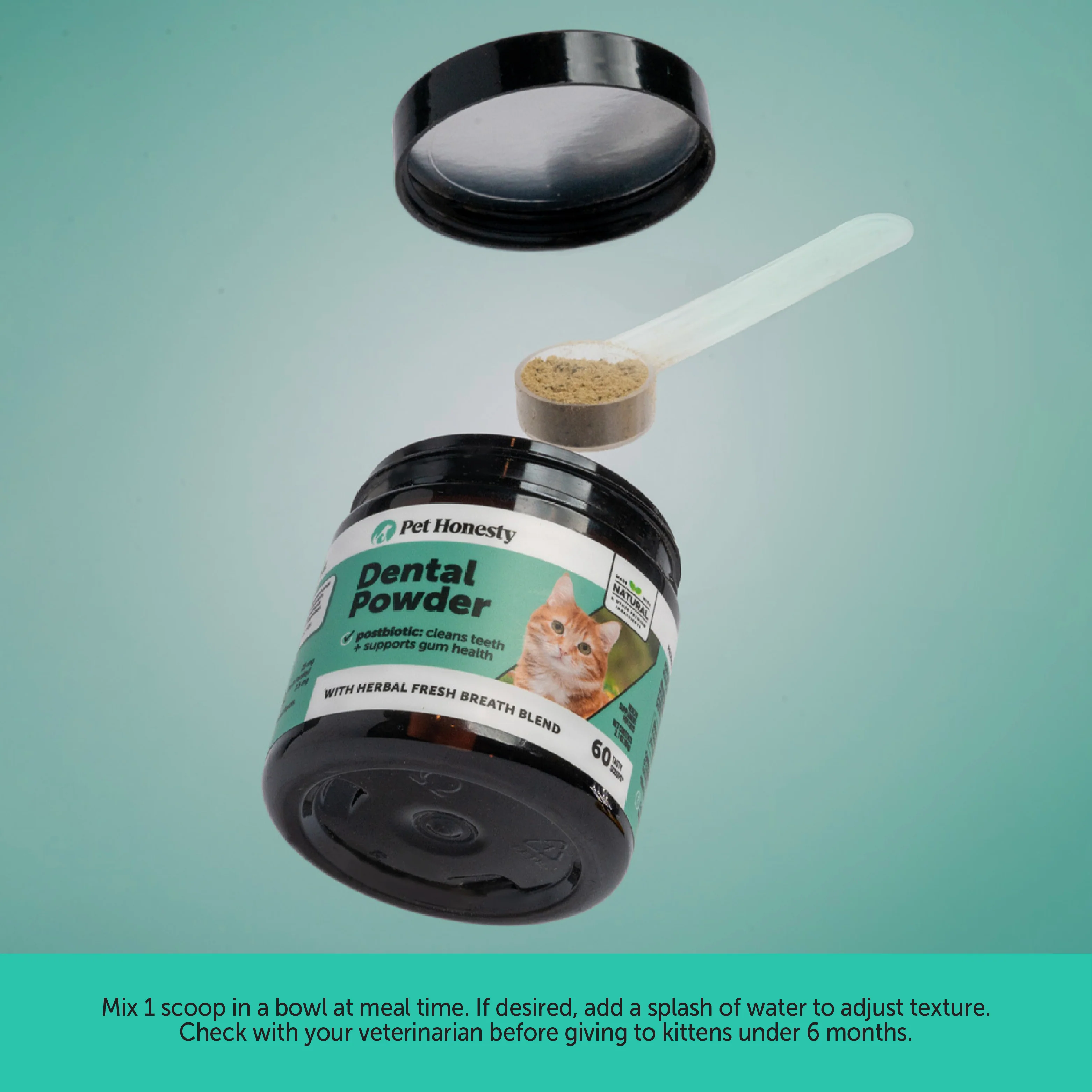 Cat Daily Essentials Bundle - Image 4