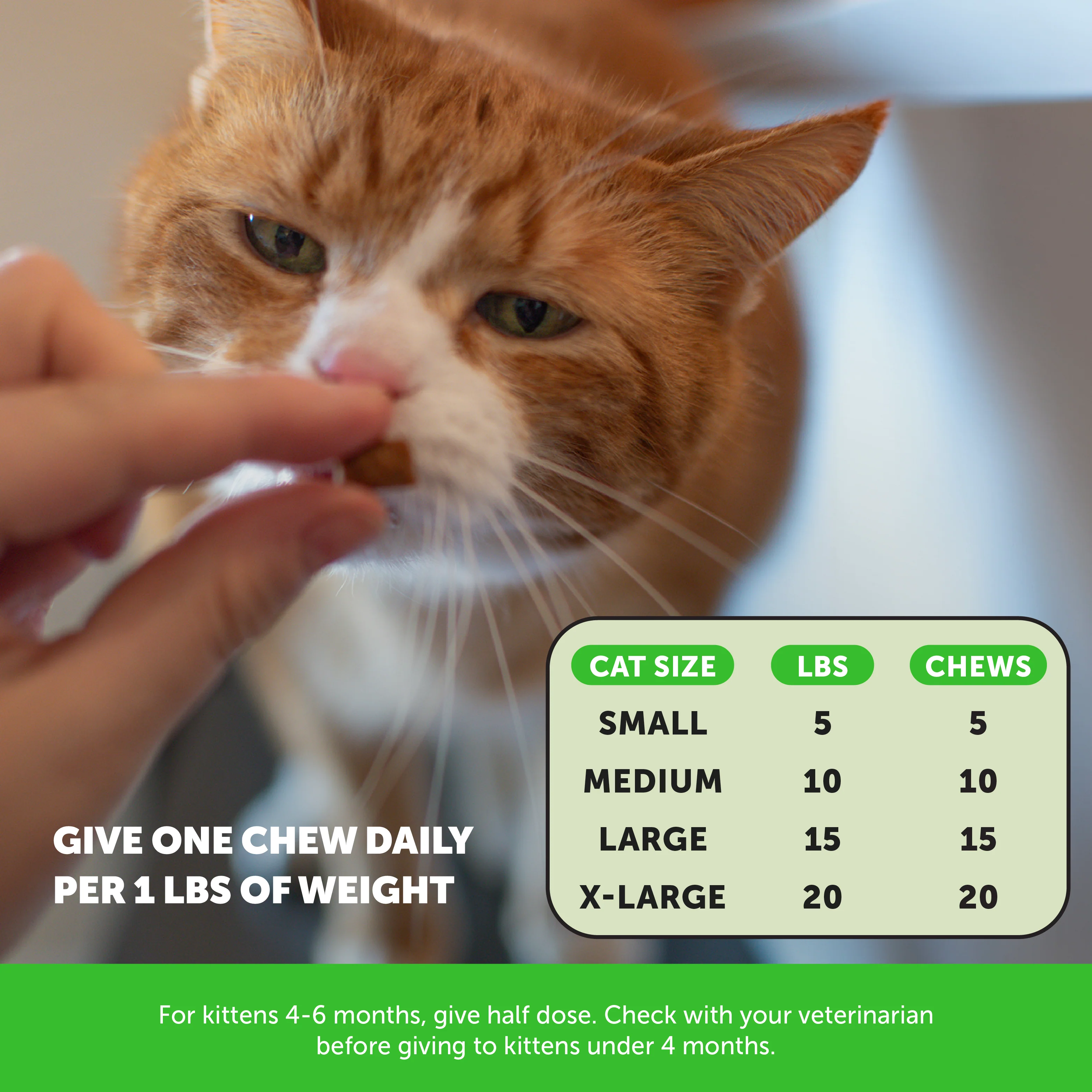 Cat Hairball + Multivitamin Bundle - Image 6