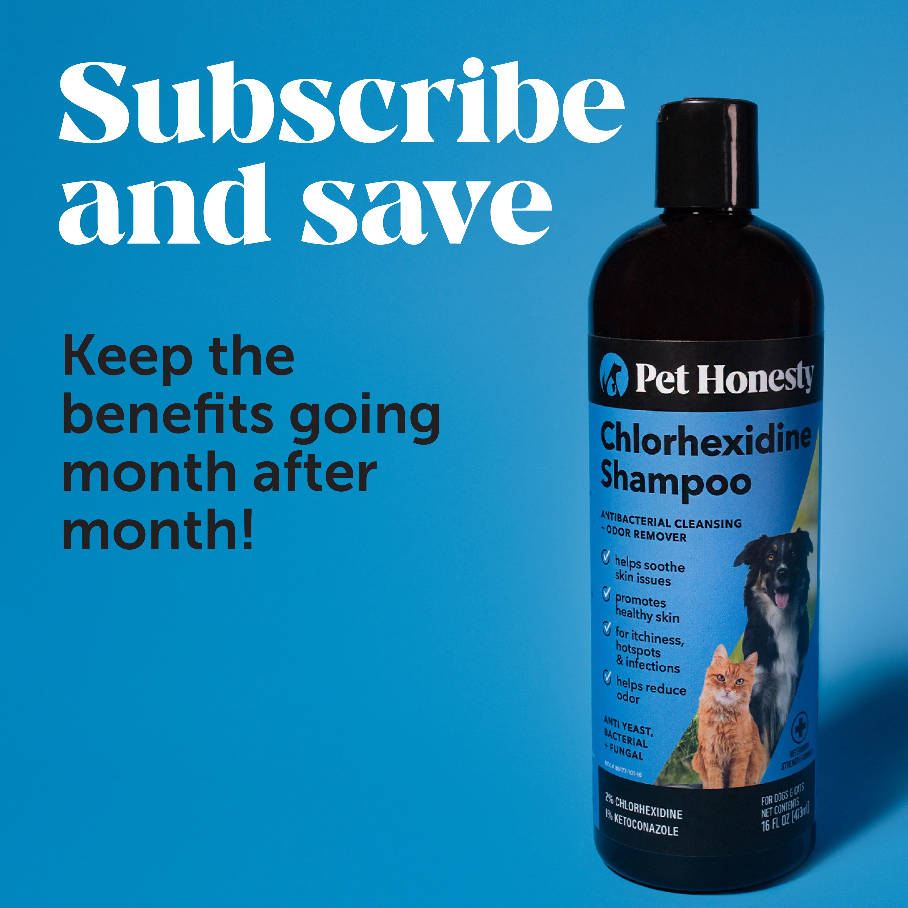 Chlorhexidine Shampoo for Dogs 3-Pack (48 Ounces) - Image 6