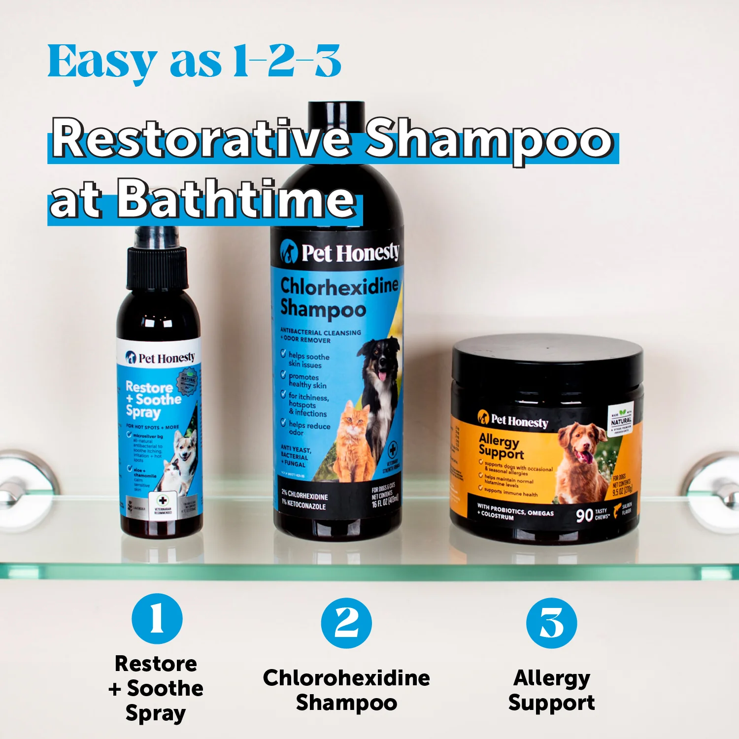 Chlorhexidine Shampoo for Dogs (16 Ounce) - Image 5