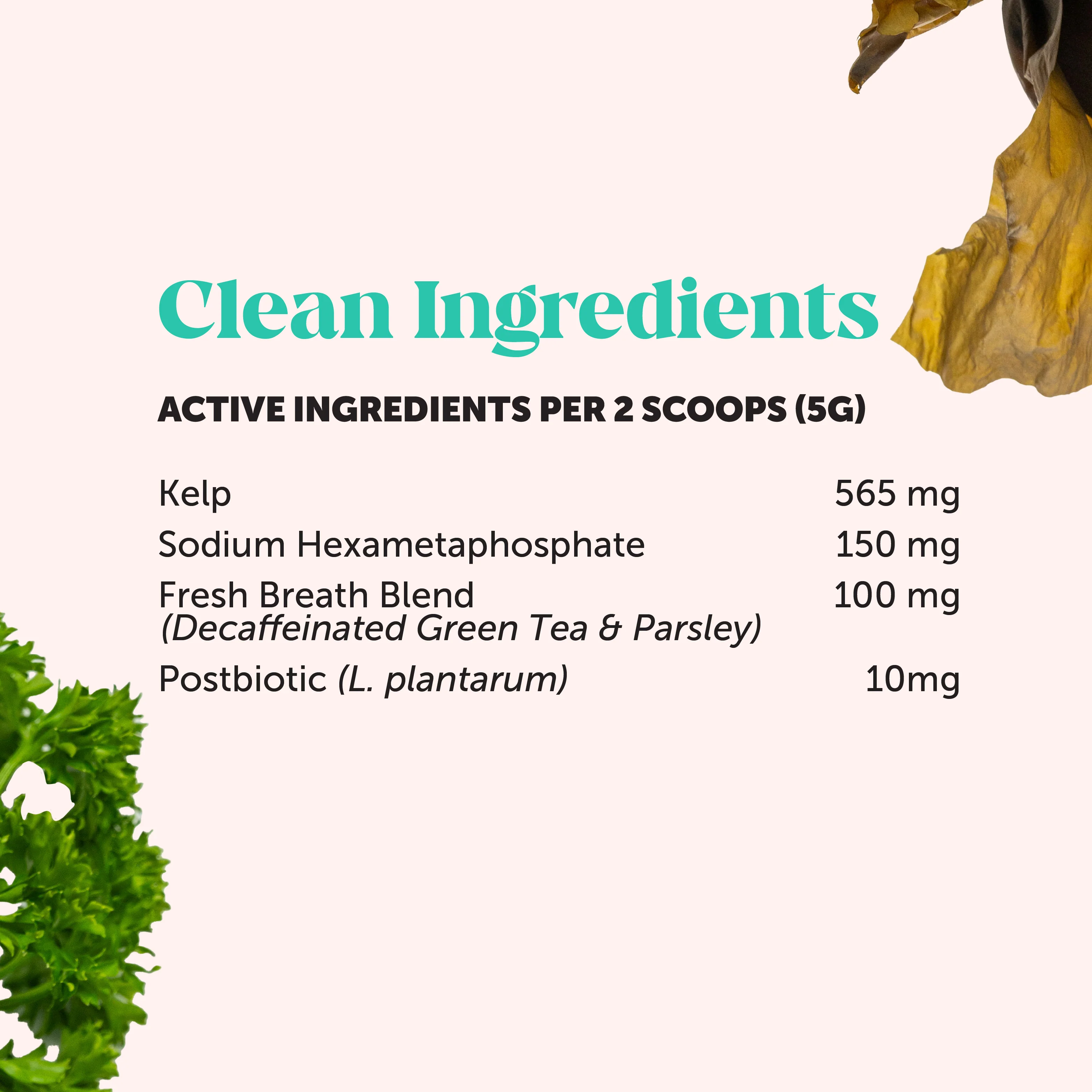 Fresh Breath Dental Powder for Dogs (60 servings) - Image 12