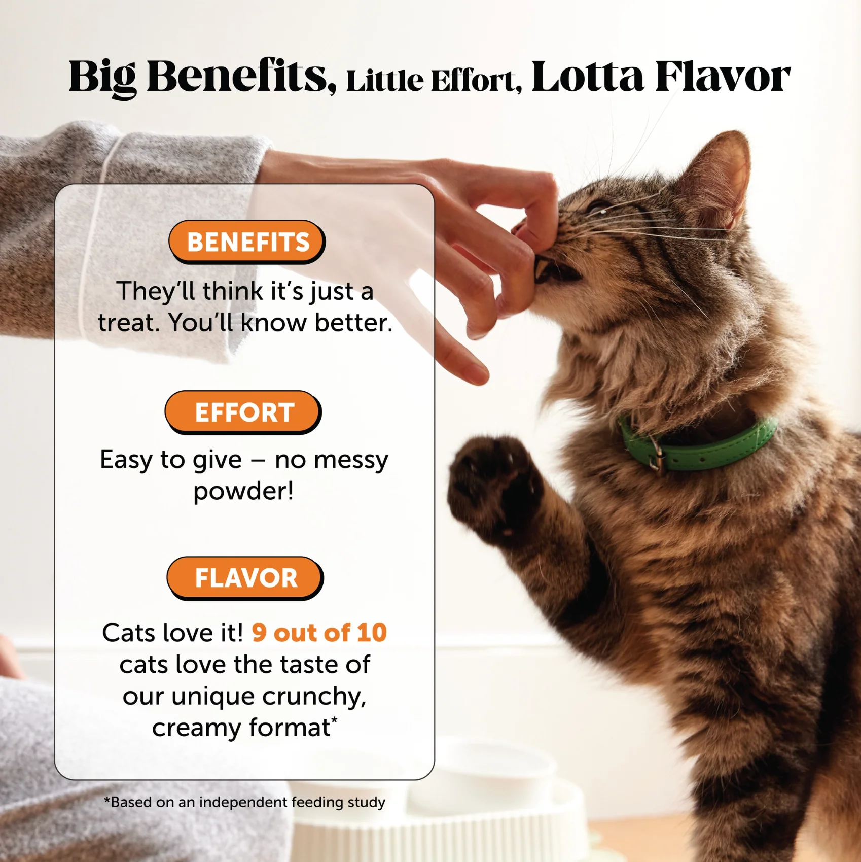 Dual Texture Hip & Joint Supplement for Cats 2-Pack (Chicken Flavor) - Image 7