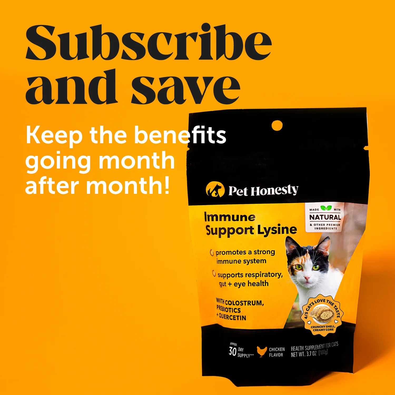 Dual Texture Immune Support Lysine for Cats (Chicken Flavored) 10.5oz - Image 10