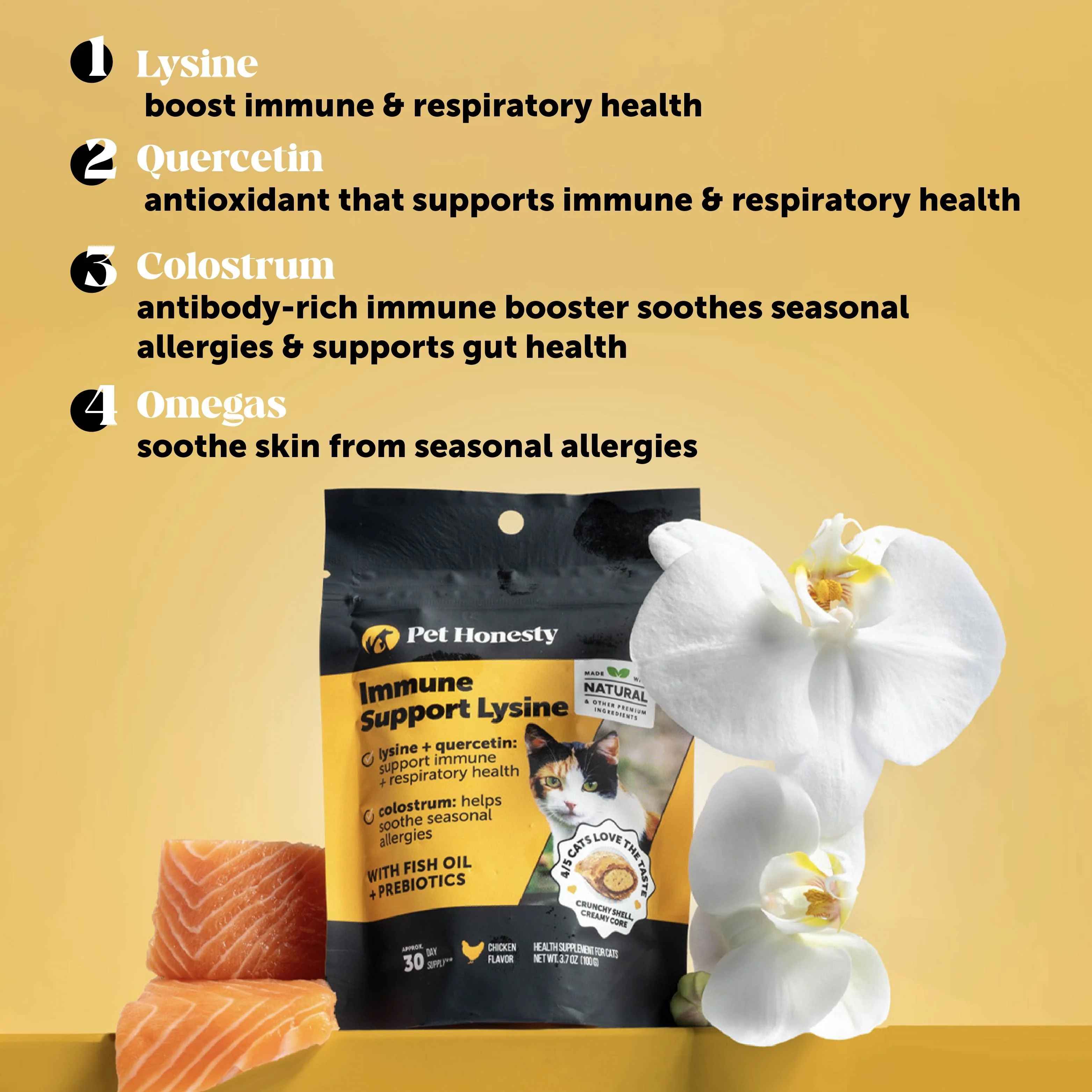 Dual Texture Immune Support Lysine for Cats 2-Pack (Chicken Flavor) - Image 3