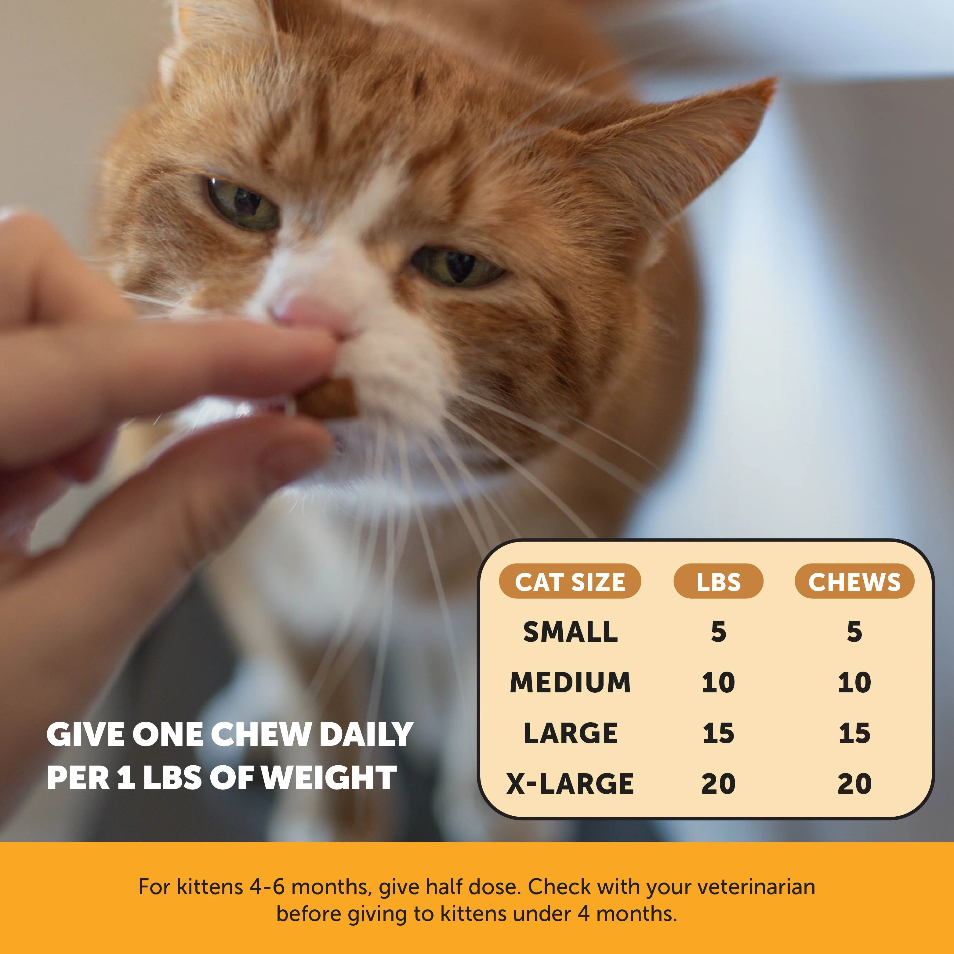 Dual Texture Immune Support Lysine for Cats 2-Pack (Chicken Flavor) - Image 5