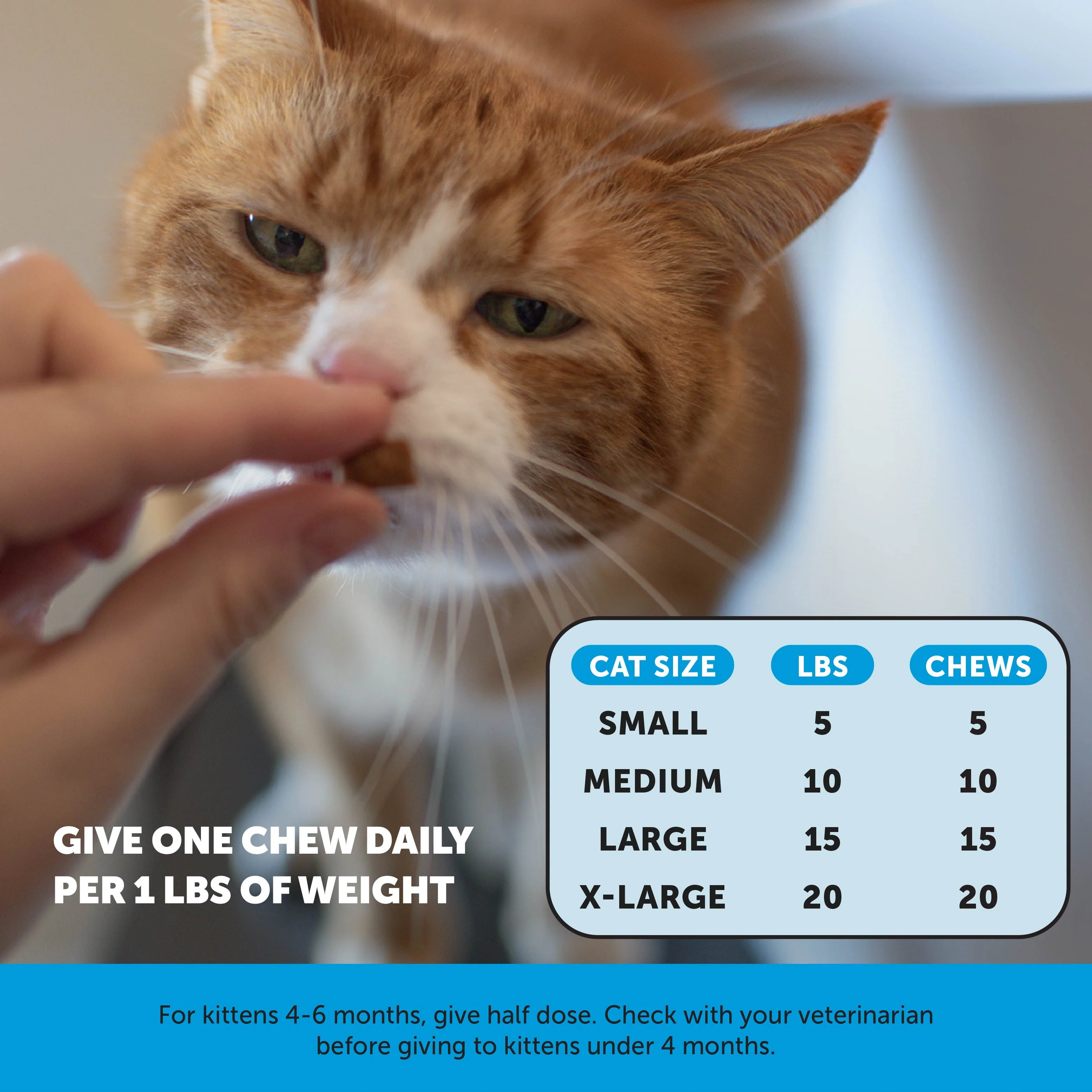 Dual Texture Skin & Coat Health Supplement for Cats 3-Pack (Chicken Flavor) - Image 5