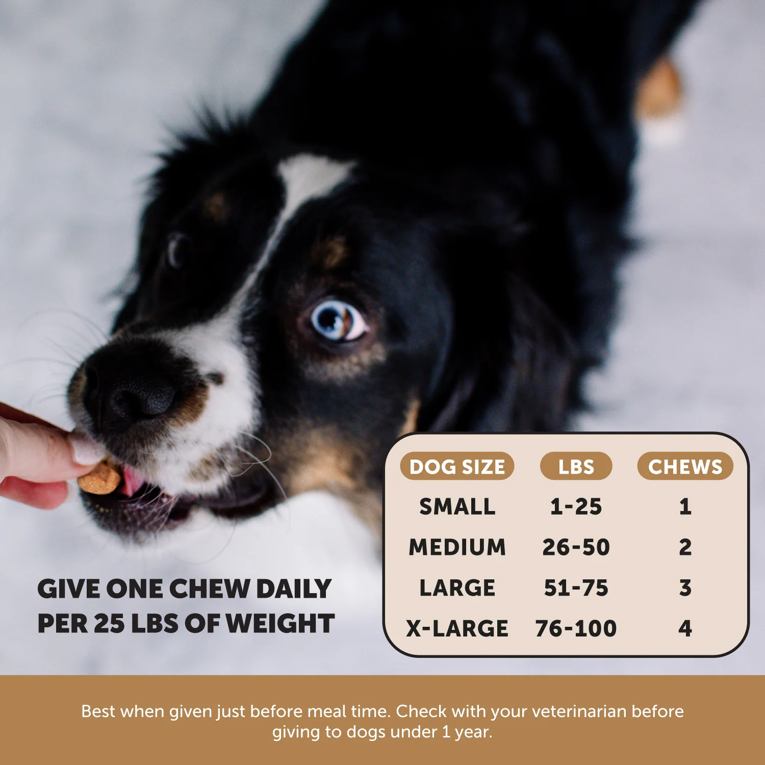 Flea + Tick Support for Dogs (Bacon Flavor) - Image 5