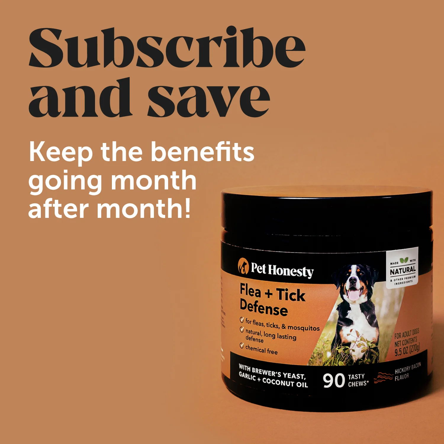 Flea + Tick Support for Dogs (Bacon Flavor) - Image 7