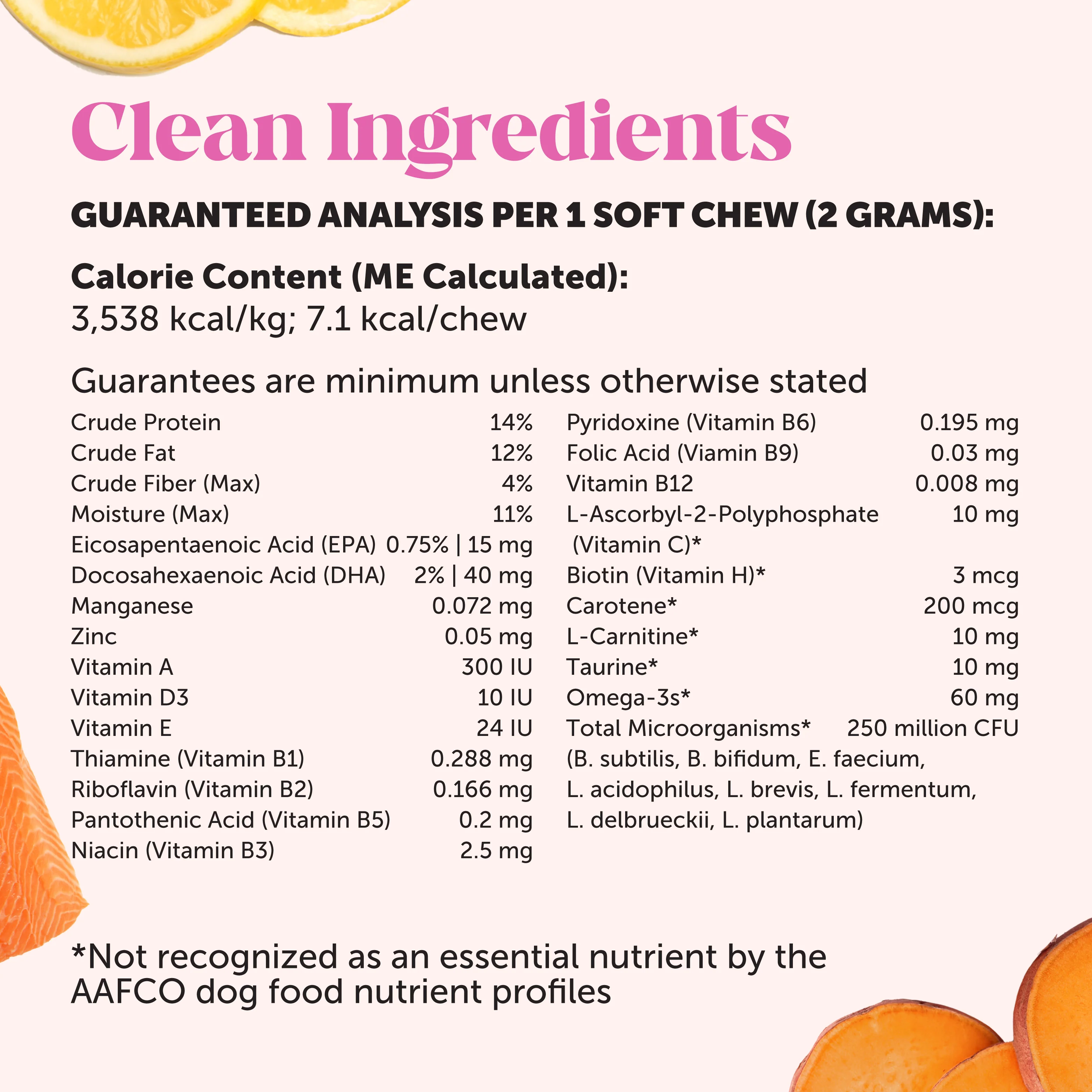 Healthy Puppy Essentials Bundle - Image 3