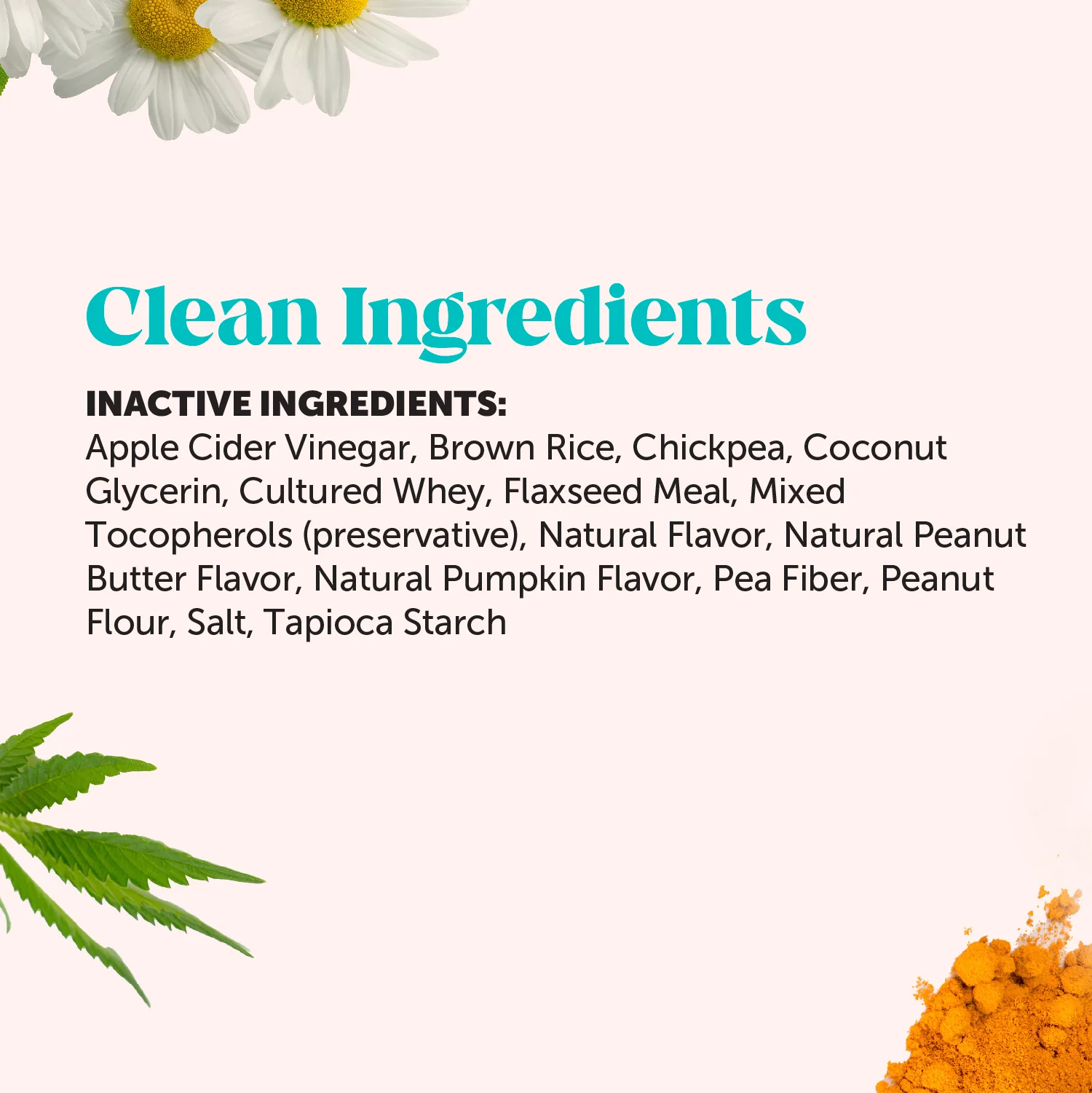 Hemp Calming Fresh Sticks for Dogs 3-Pack (Pumpkin Peanut Butter Flavor) - Image 7