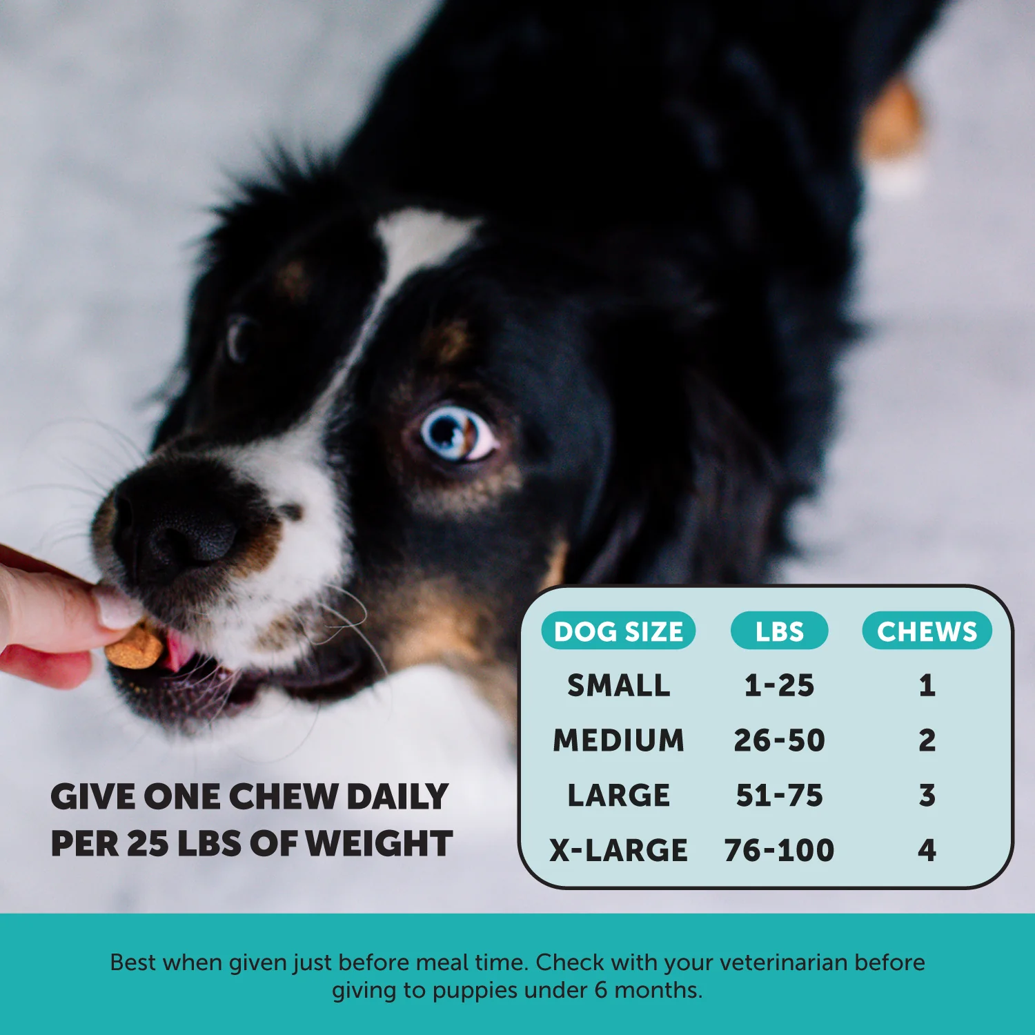 Hemp Calming Chews for Dogs (Chicken Flavor) - Image 6