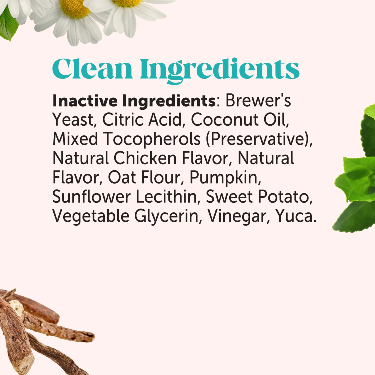 Hemp Calming Chews for Dogs (Chicken Flavor) - Image 5