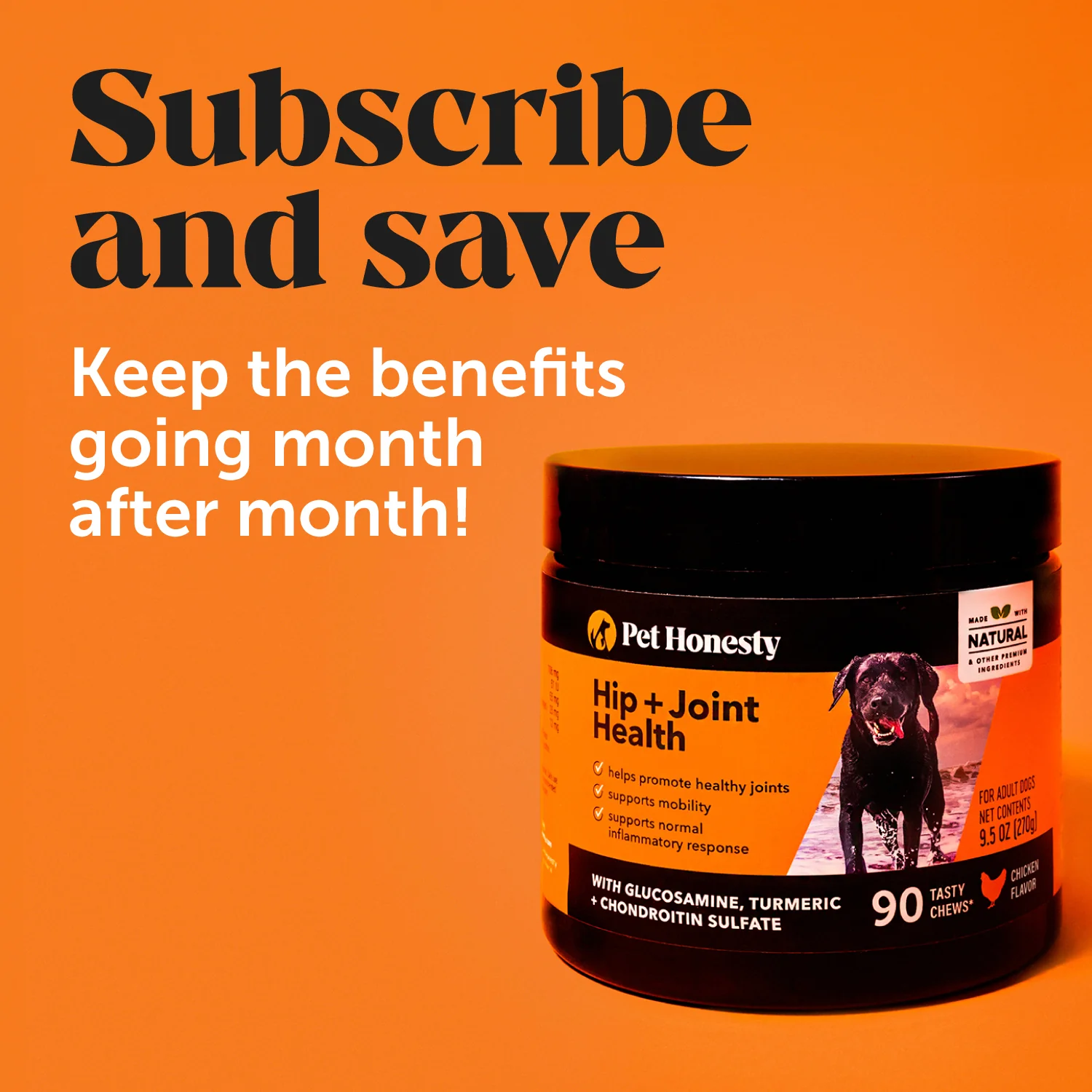 Hip + Joint Health (Chicken Flavor) - Image 8