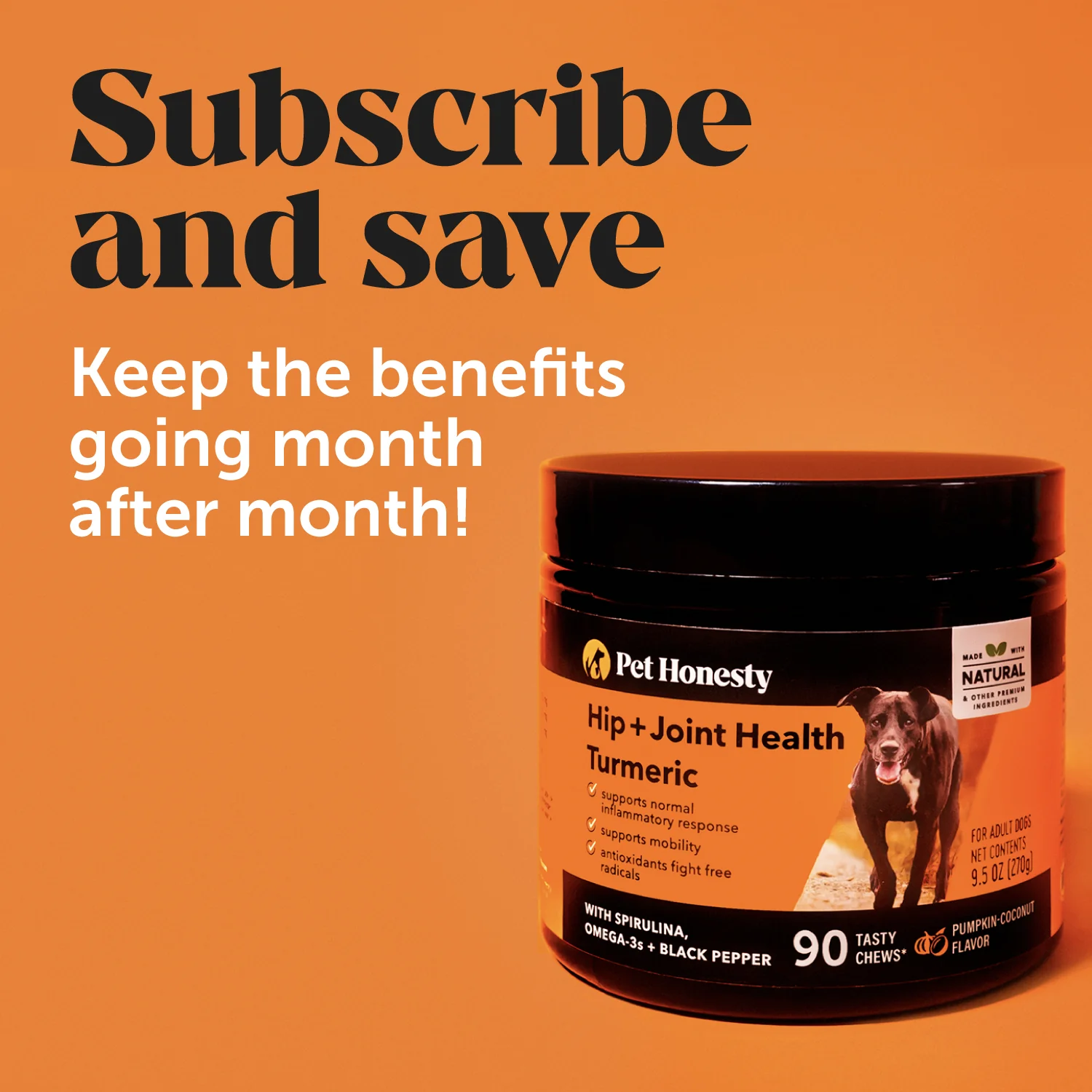 Hip + Joint Health Turmeric (Pumpkin Coconut Flavor) - Image 7