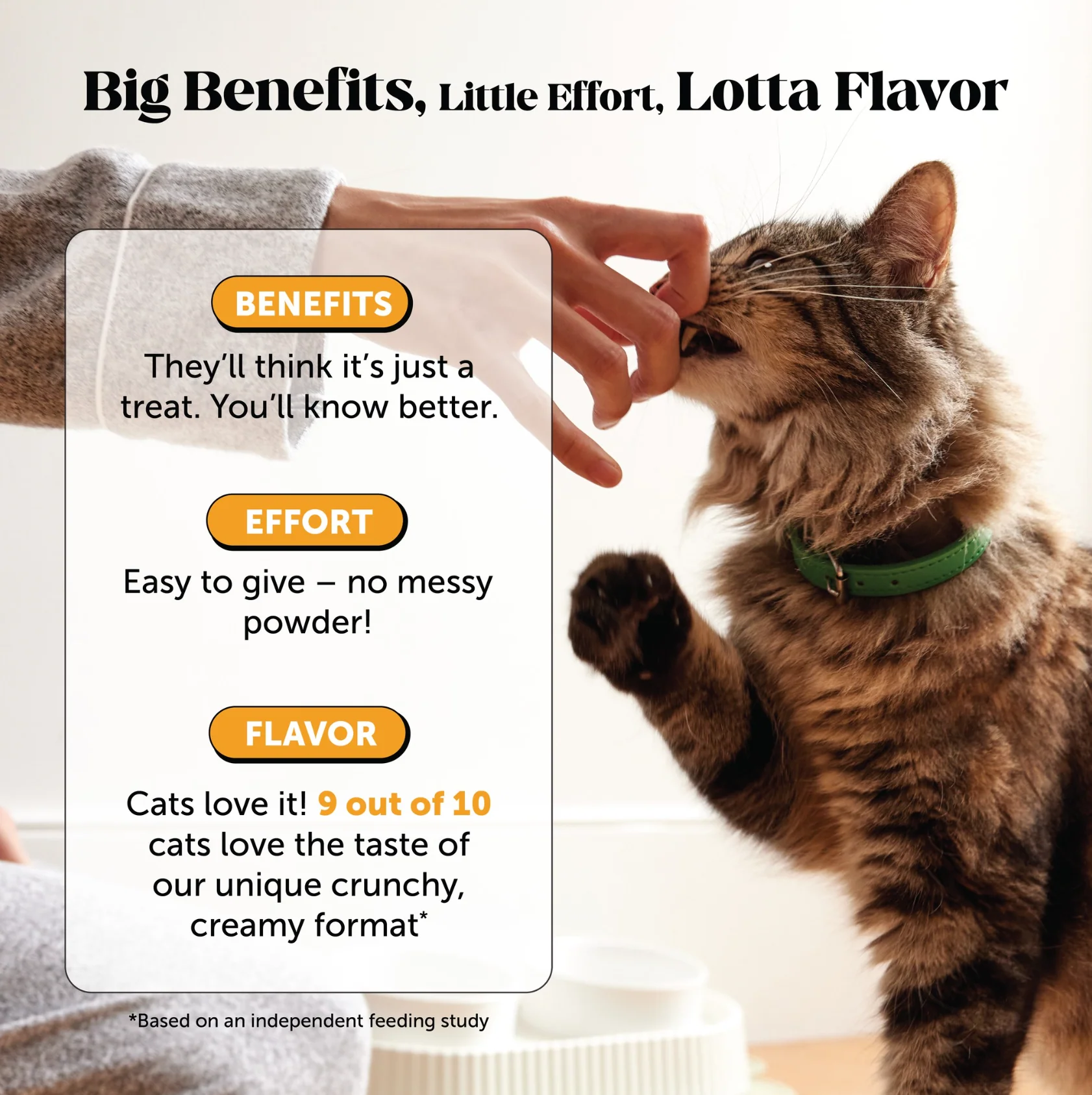 Dual Texture Immune Support Lysine for Cats 2-Pack (Chicken Flavor) - Image 8
