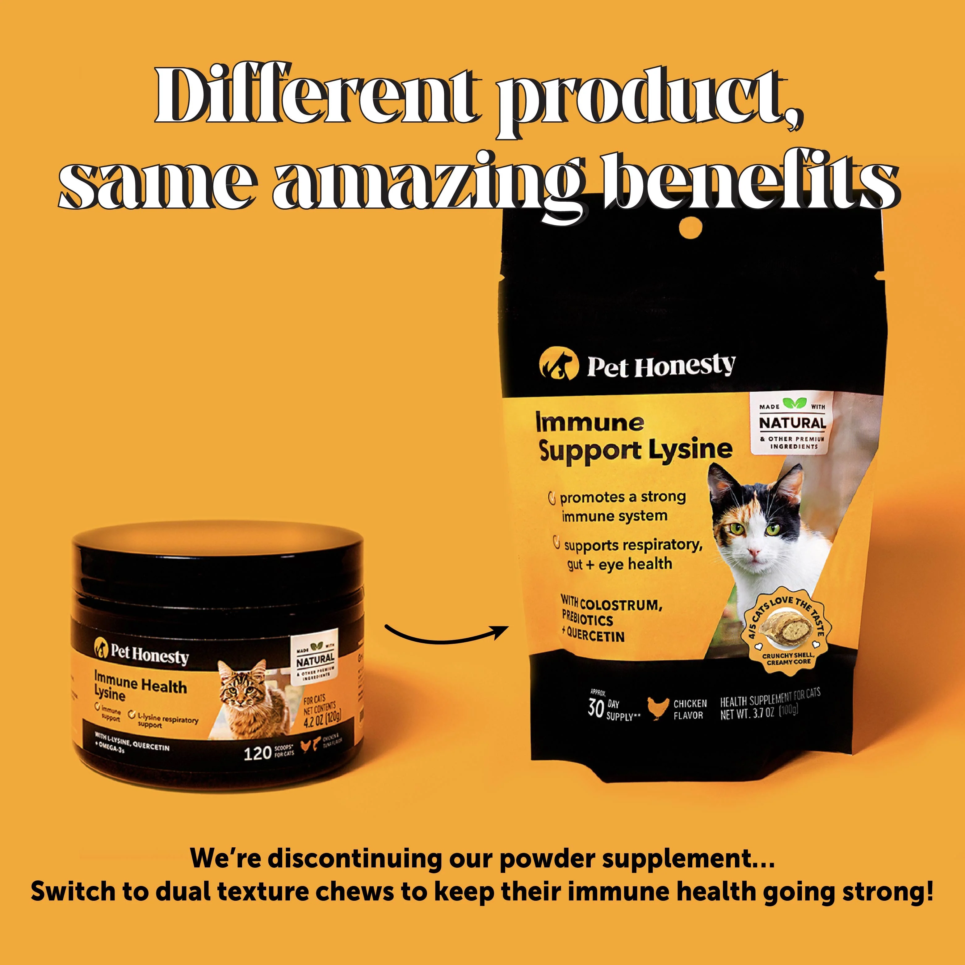Dual Texture Immune Support Lysine for Cats 2-Pack (Chicken Flavor) - Image 9