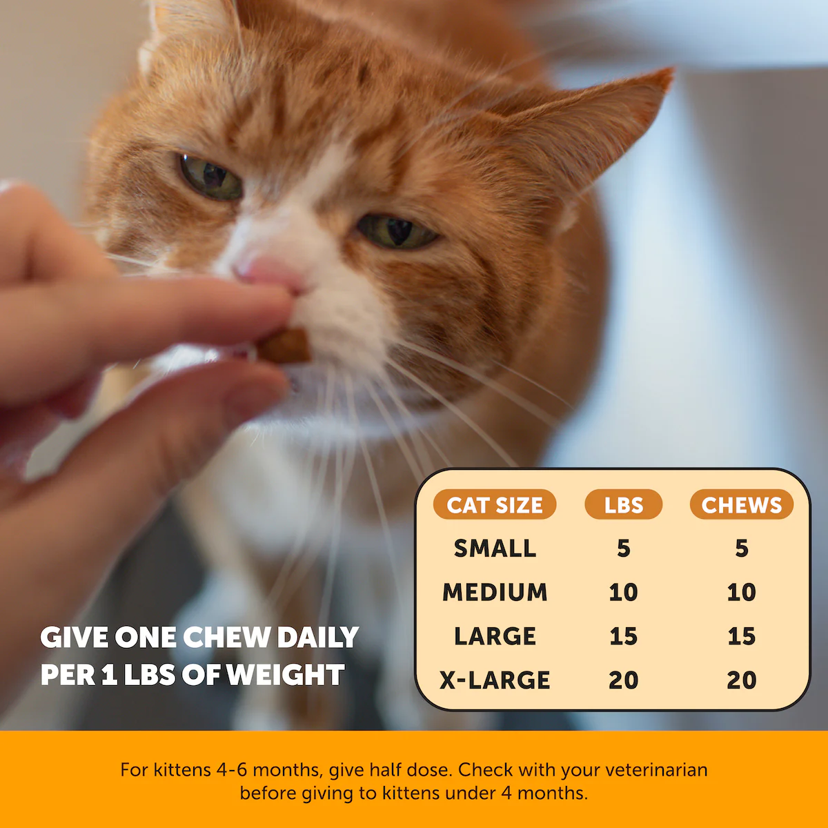 Cat Lysine + Fish Oil Bundle - Image 6