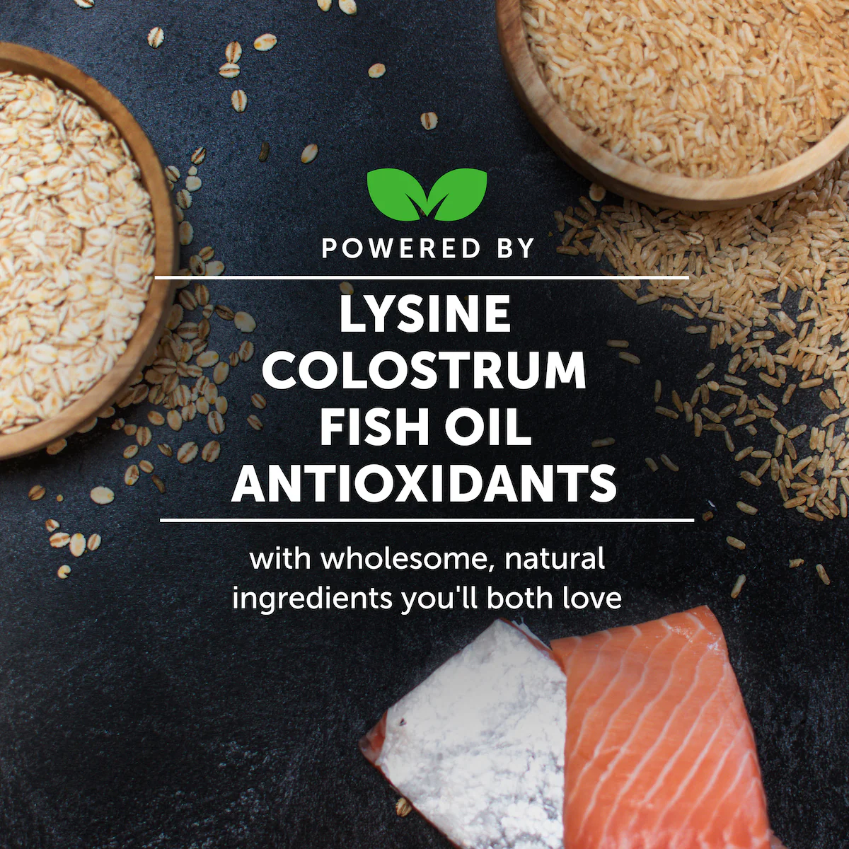 Cat Lysine + Fish Oil Bundle - Image 7
