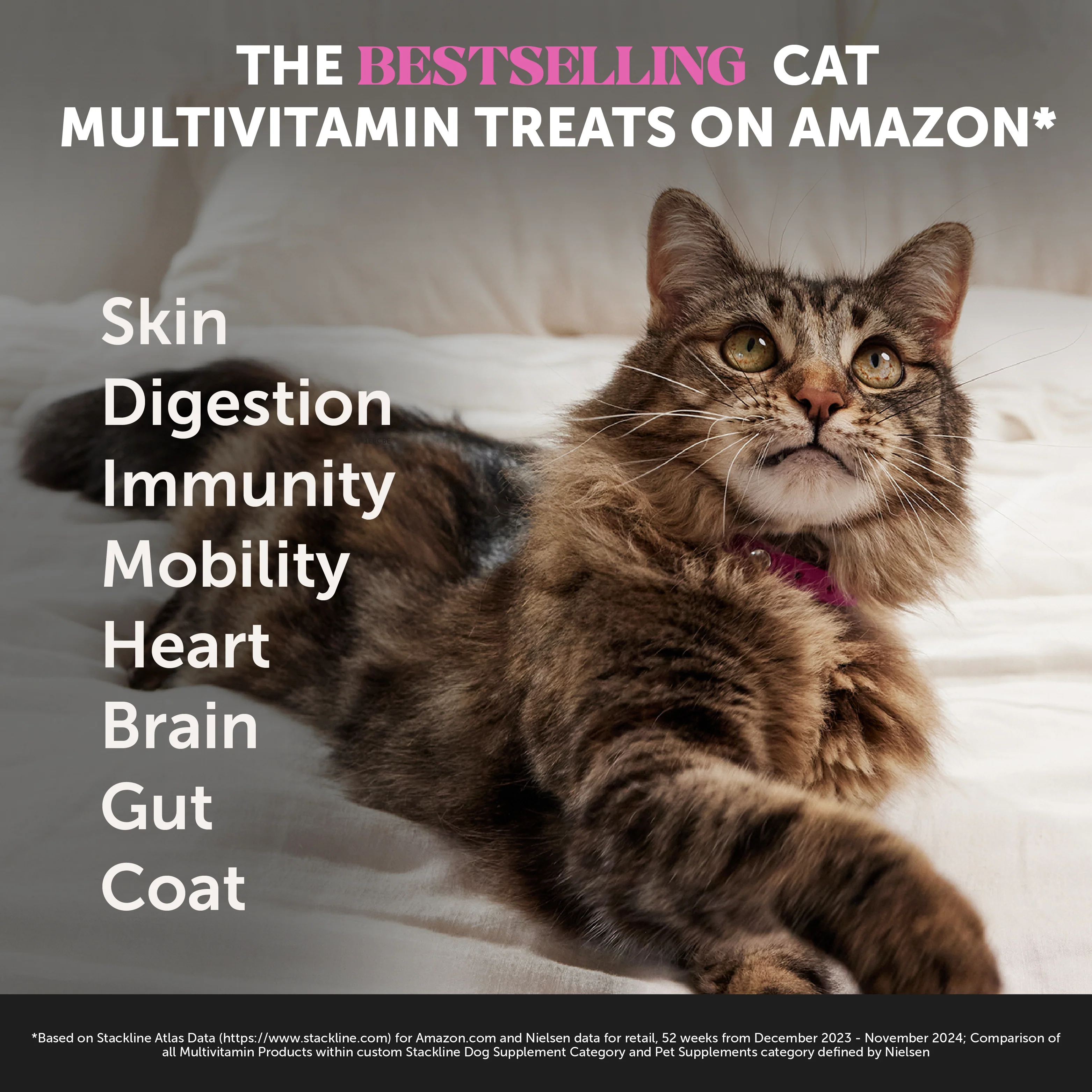 More Birthdays Bundle for Cats - Multivitamin, Hairball, Dental Bites - Image 11