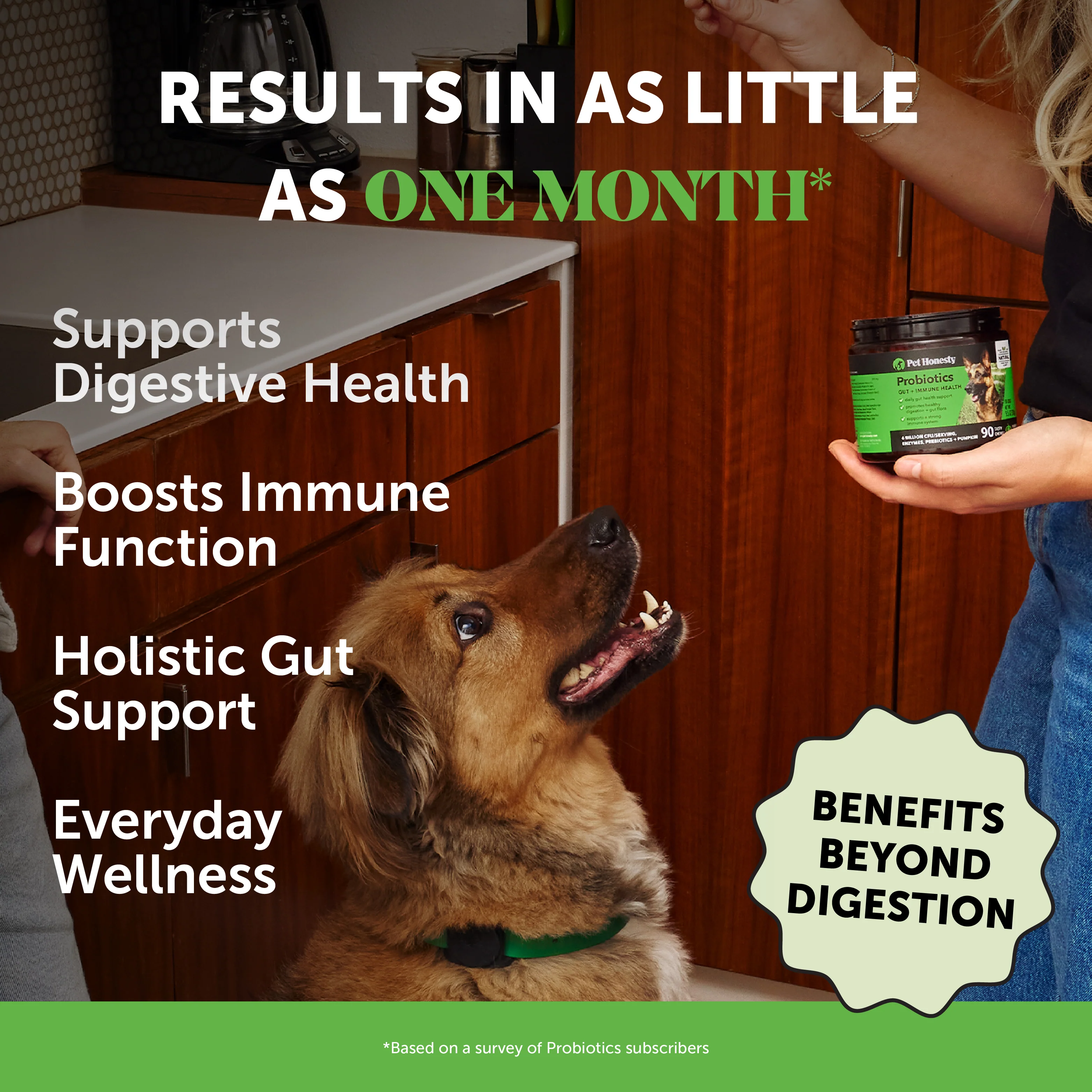 More Birthdays Bundle for Dogs - Dental, Multivitamin, Probiotic - Image 15