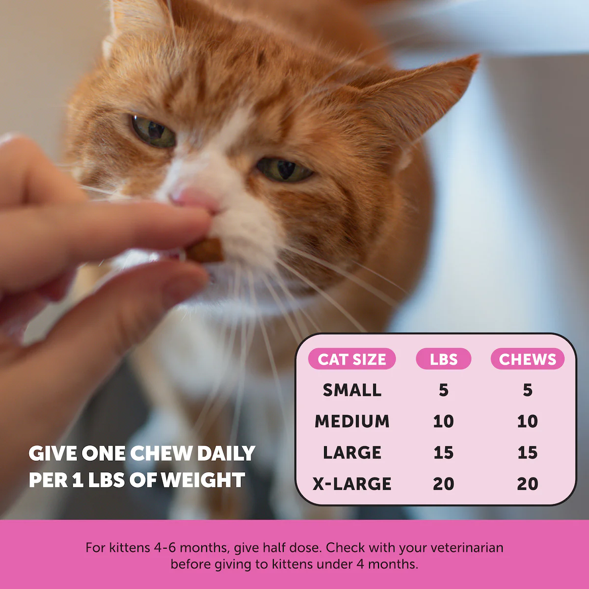 Dual Texture Multivitamin for Cats 3-Pack (Chicken Flavor) - Image 4