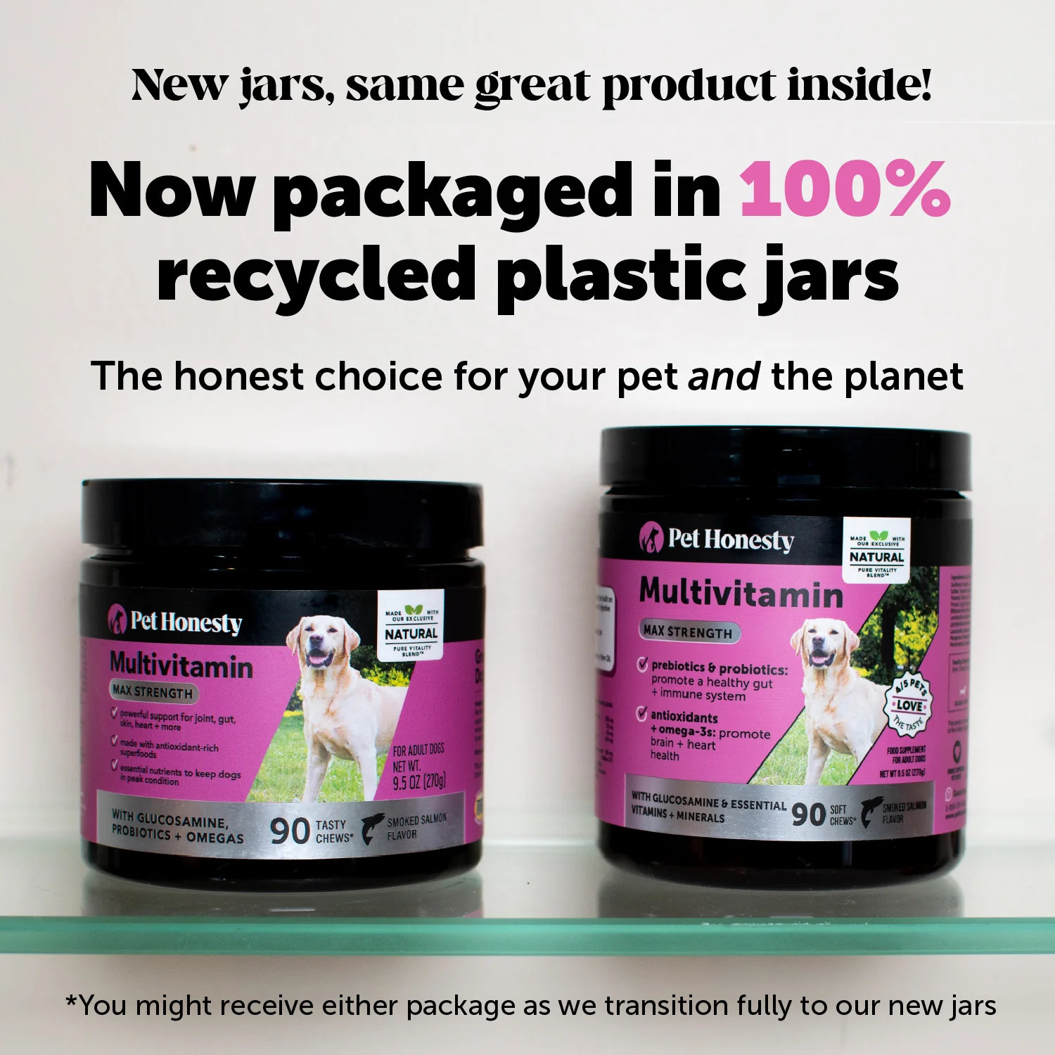 Multivitamin Max Strength for Dogs 3-Pack (Salmon Flavor) - Image 11