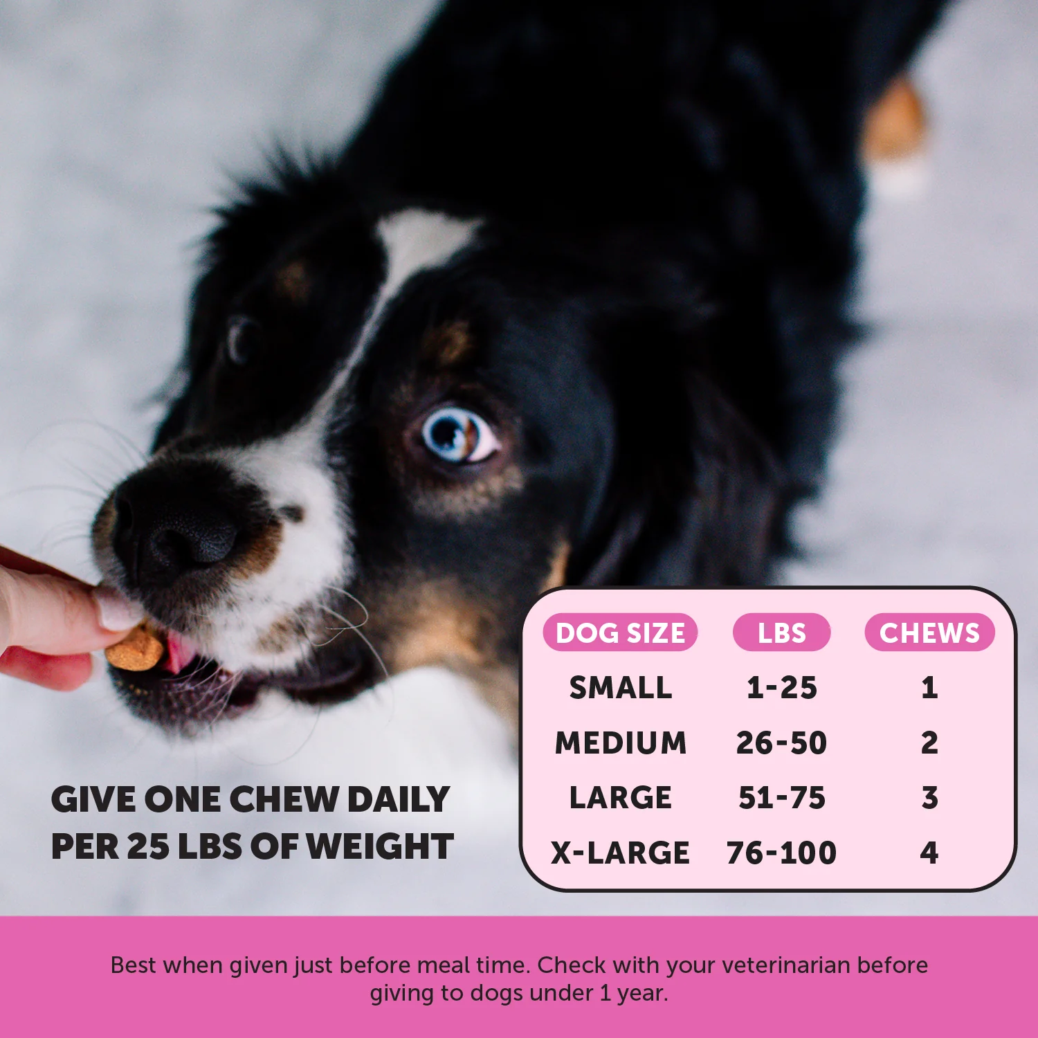 Multivitamin Max Strength for Dogs 3-Pack (Salmon Flavor) - Image 5