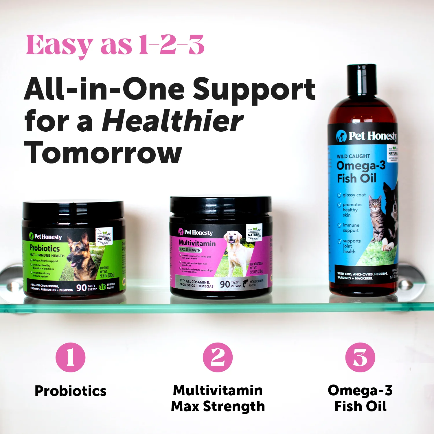 Multivitamin Max Strength for Dogs (Salmon Flavor) - Image 7
