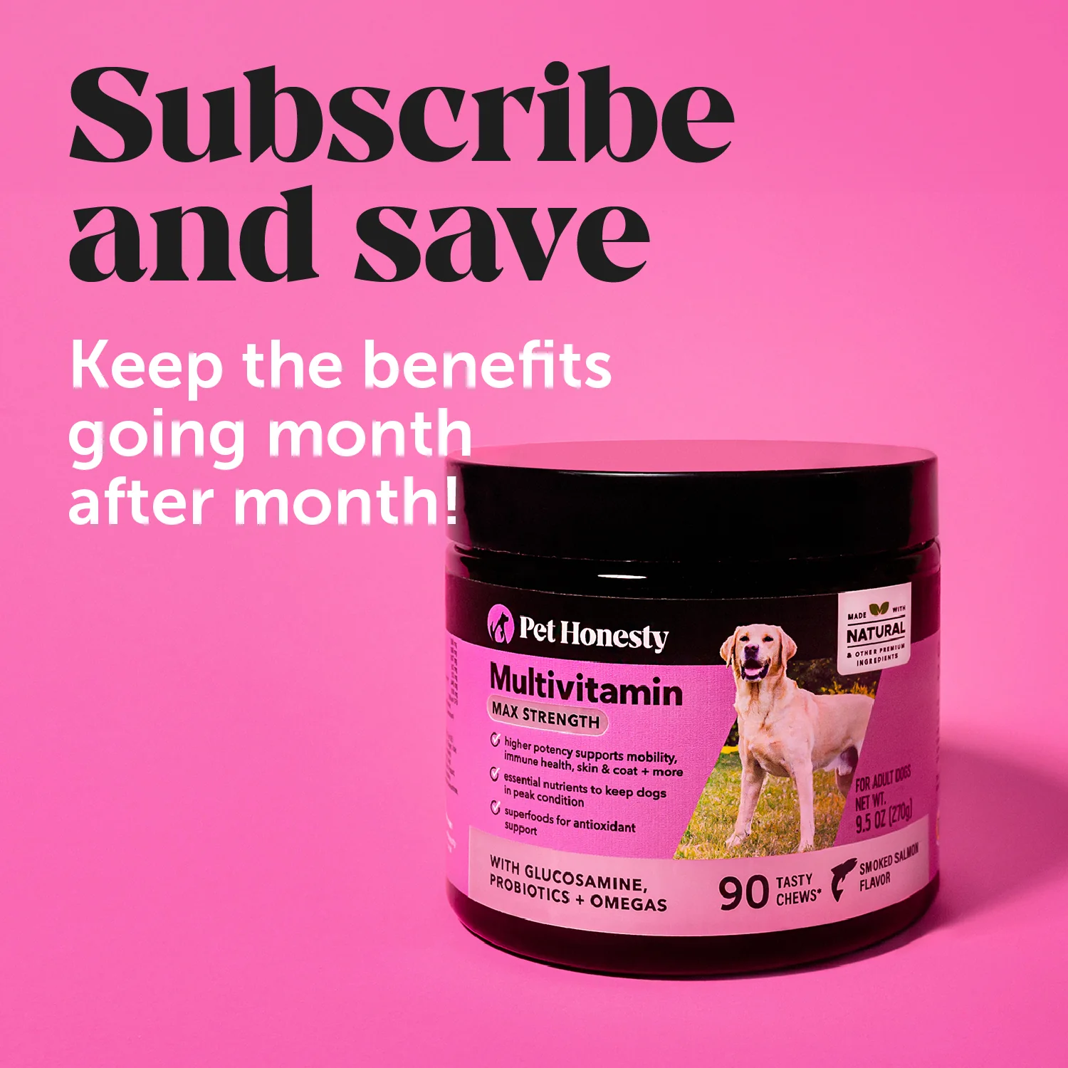 Multivitamin Max Strength for Dogs (Salmon Flavor) - Image 8