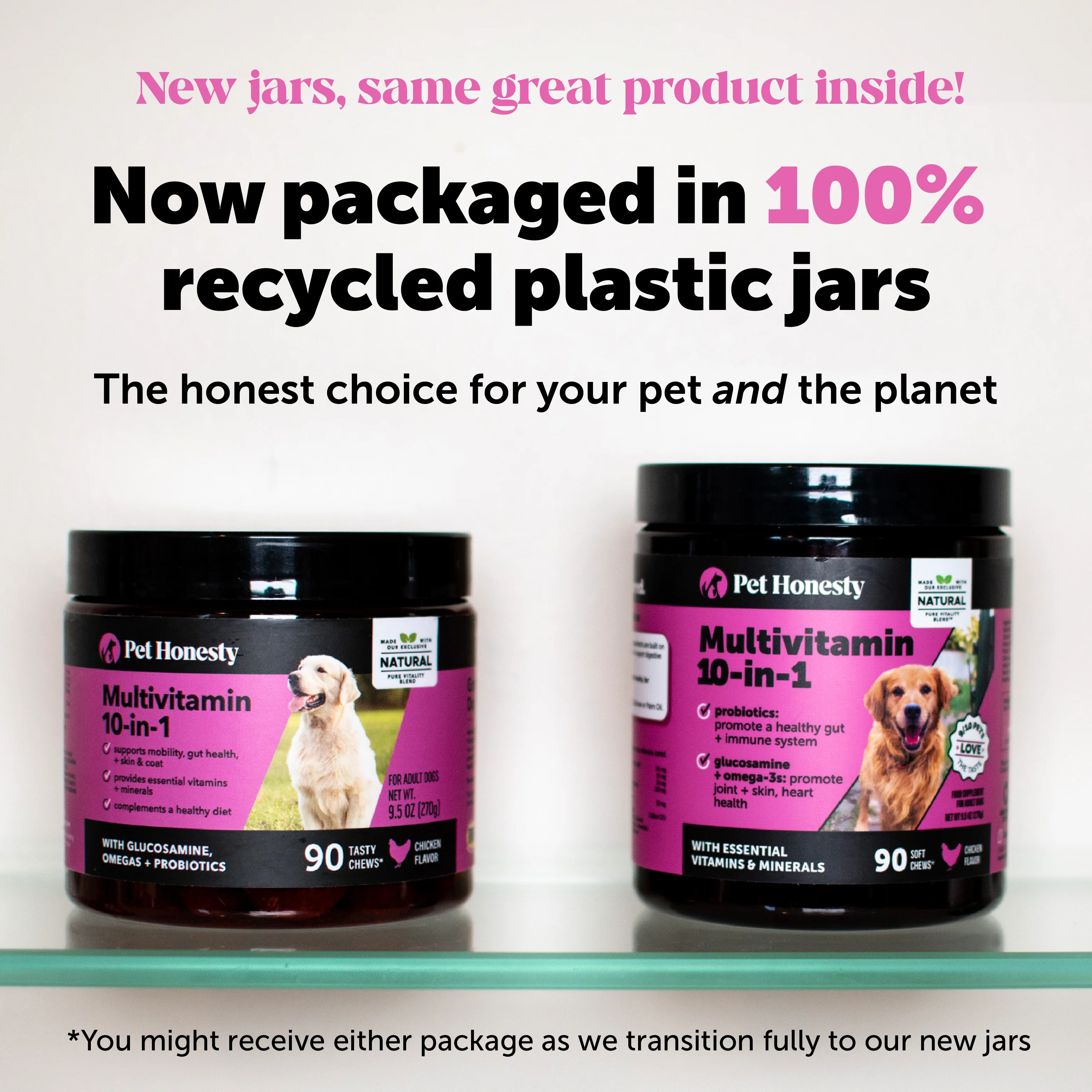 Multivitamin 10-in-1 Chews for Dogs (Chicken Flavor) - Image 11