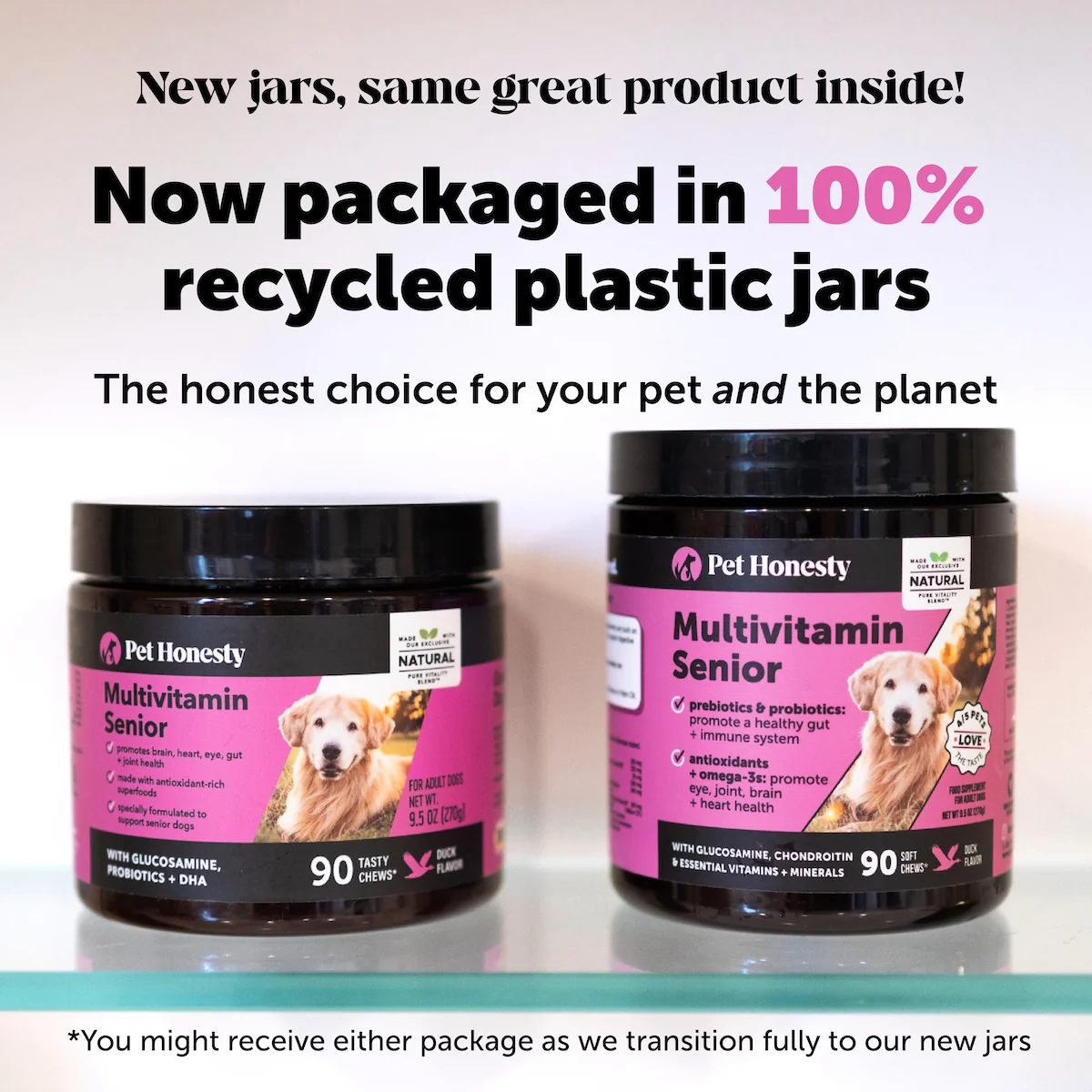Multivitamin 10-in-1 Chews for Senior Dogs (Duck Flavor) - Image 7