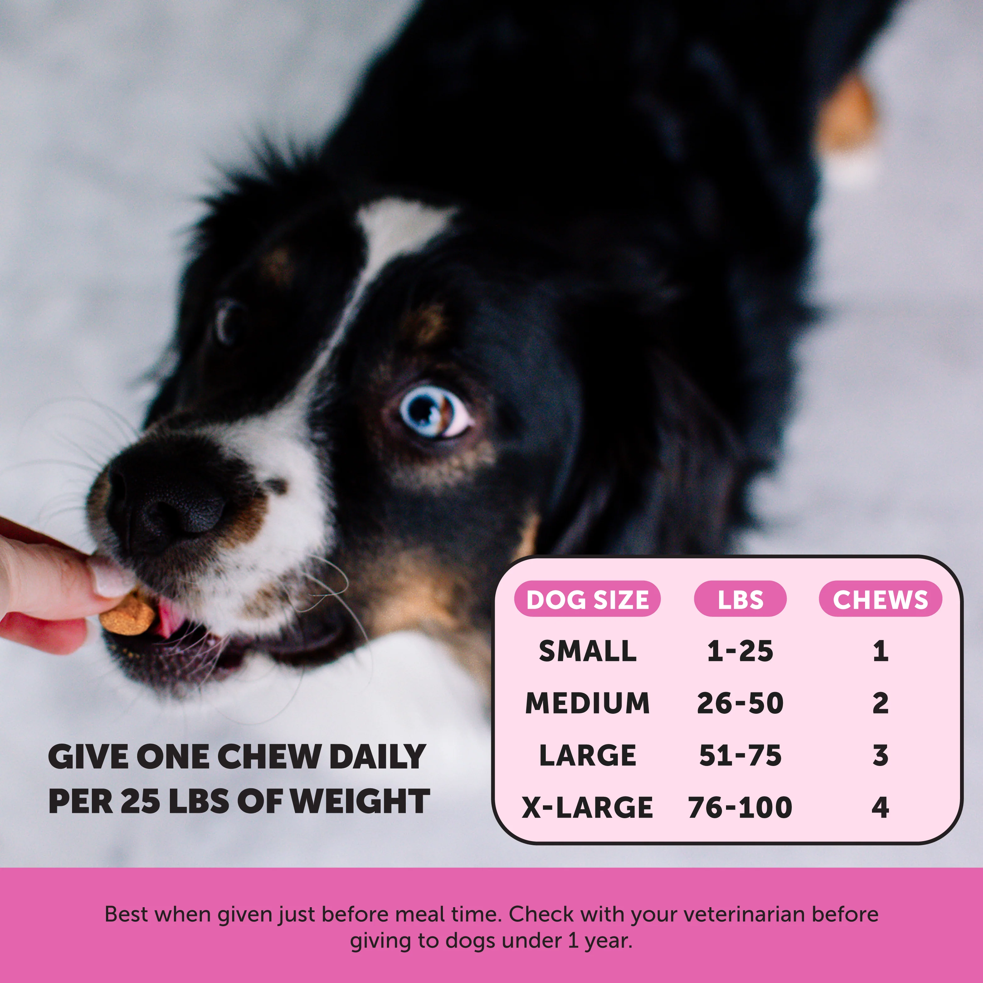 Multivitamin 10-in-1 Chews for Senior Dogs (Duck Flavor) - Image 5