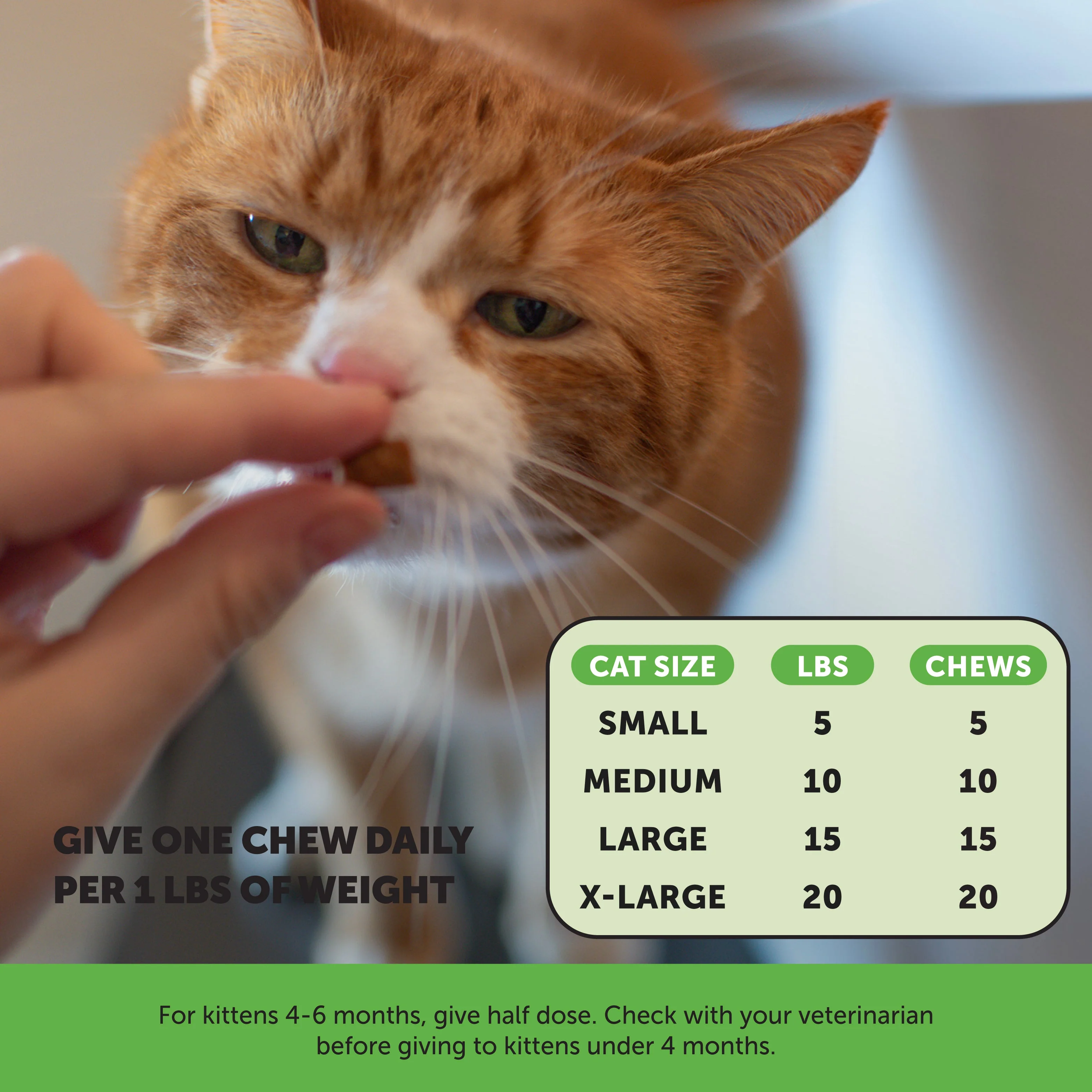 Dual Texture Probiotics Gut + Immune Health Supplement for Cats 2-Pack (Chicken Flavor) - Image 5