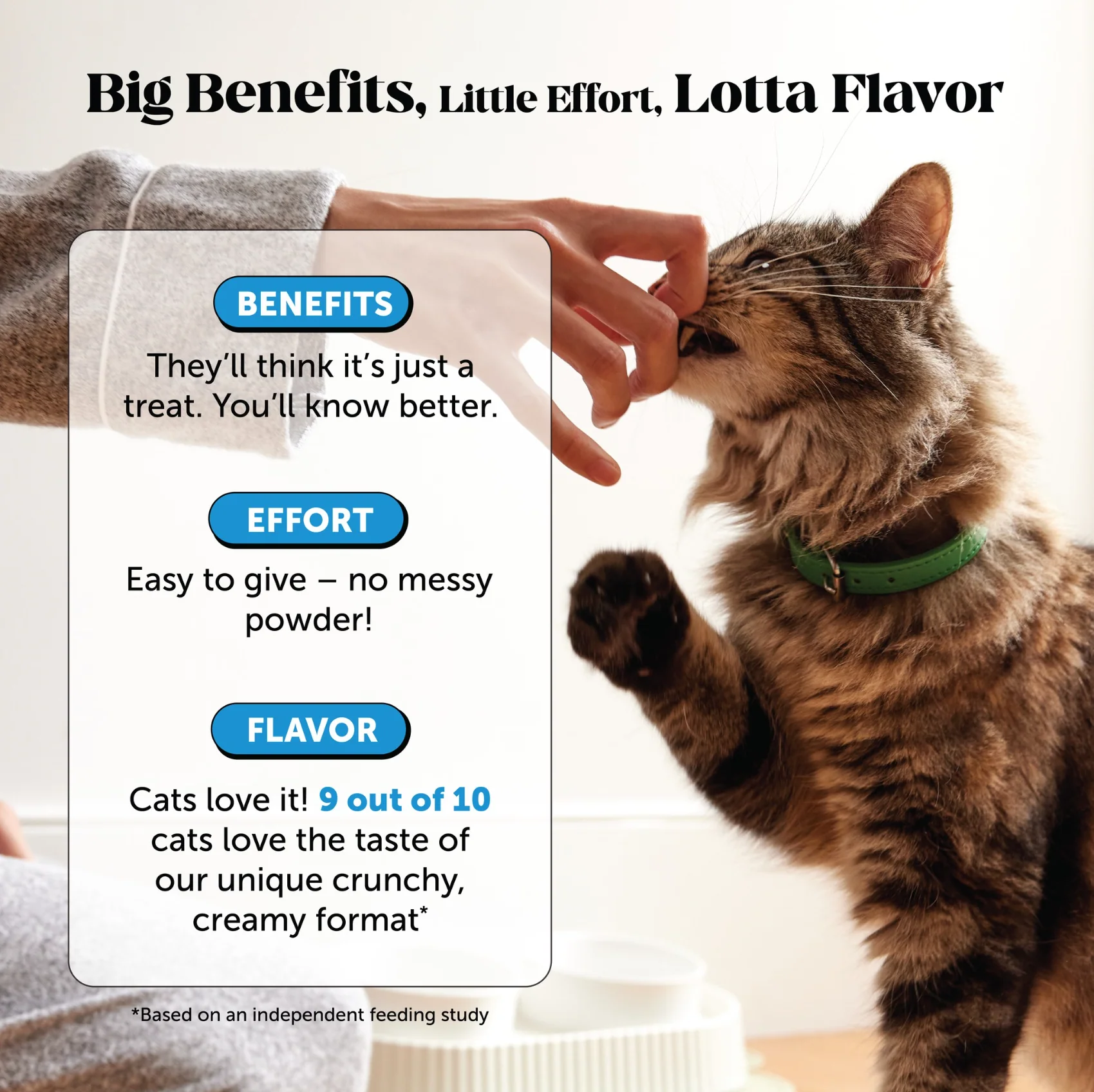 Dual Texture Skin & Coat Health Supplement for Cats 3-Pack (Chicken Flavor) - Image 7