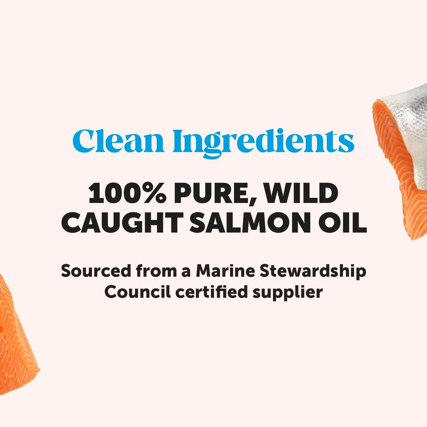 Wild Alaskan Salmon Oil for Dogs and Cats (32 Ounce) - Image 9